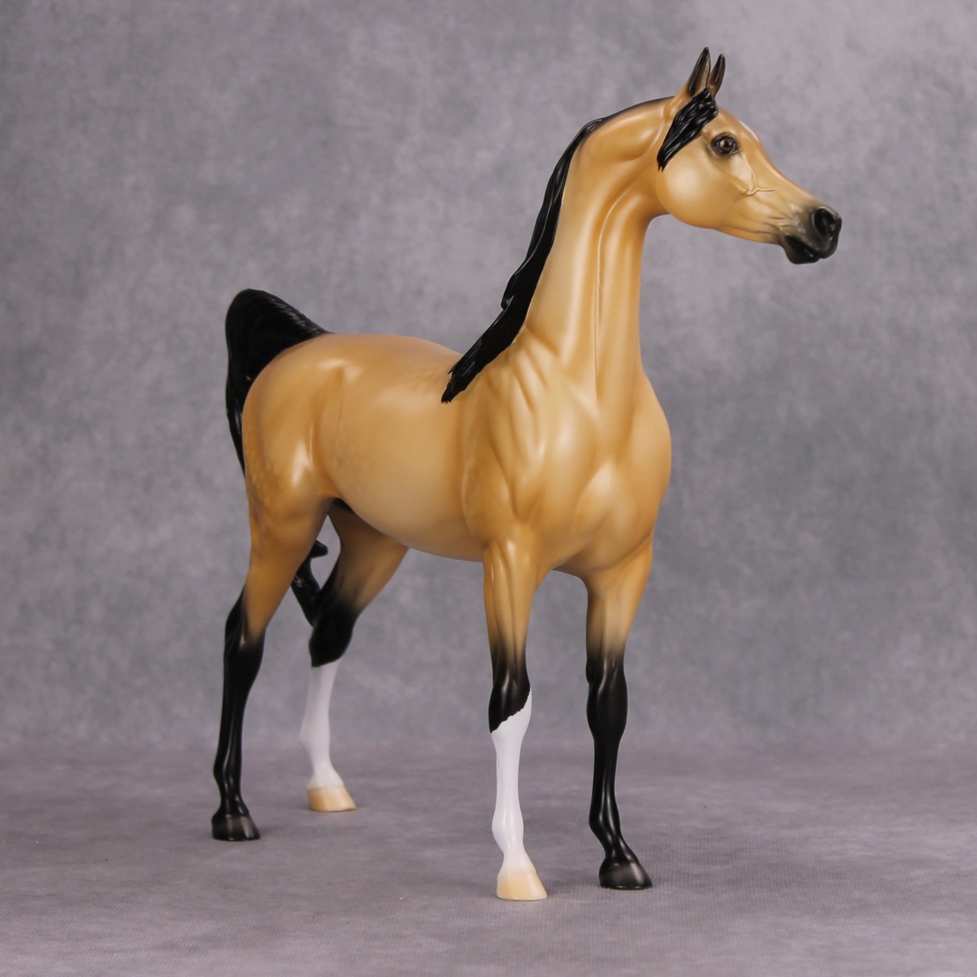 Nightlight OOAK Dappled Buckskin Arabian By Ellen Robbins MM24