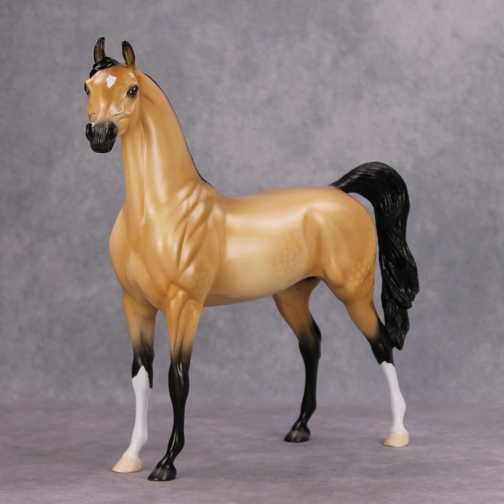 Nightlight OOAK Dappled Buckskin Arabian By Ellen Robbins MM24