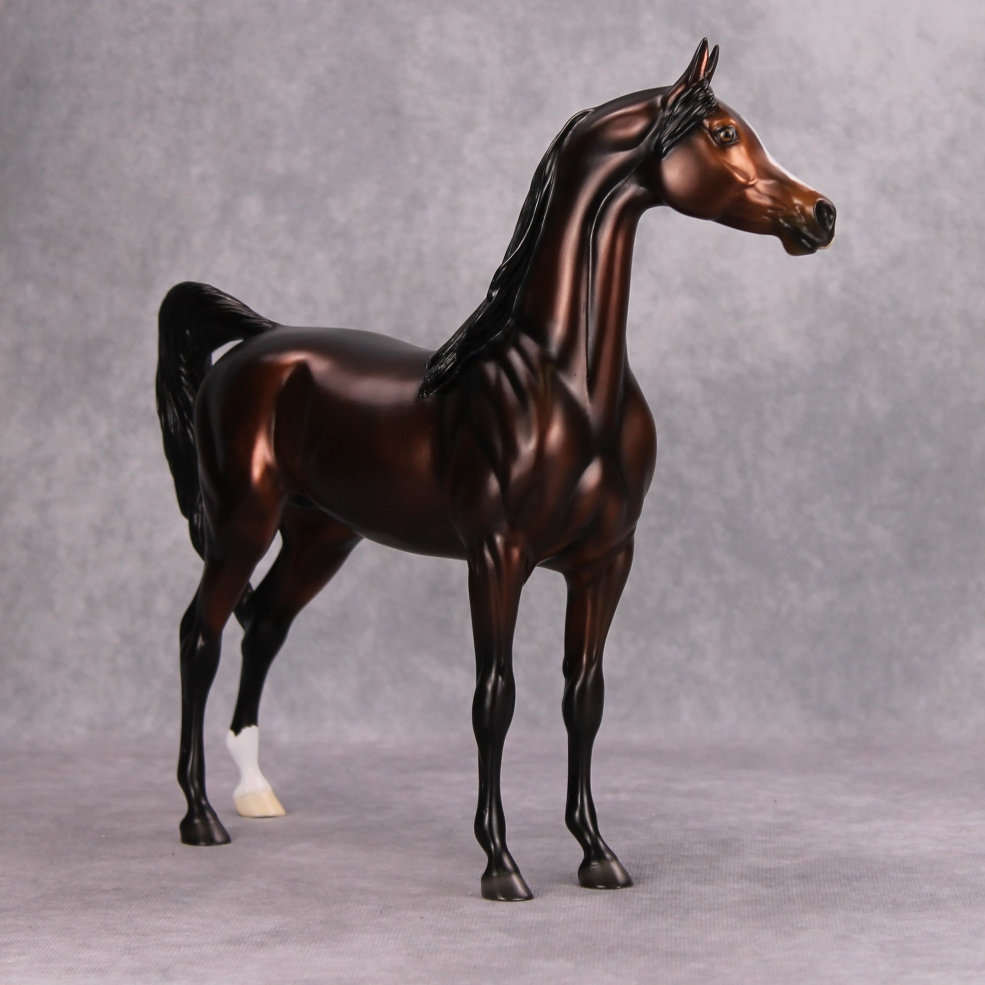 Petrichor OOAK Dappled Metallic Bay Arabian By Ellen Robbins MM24