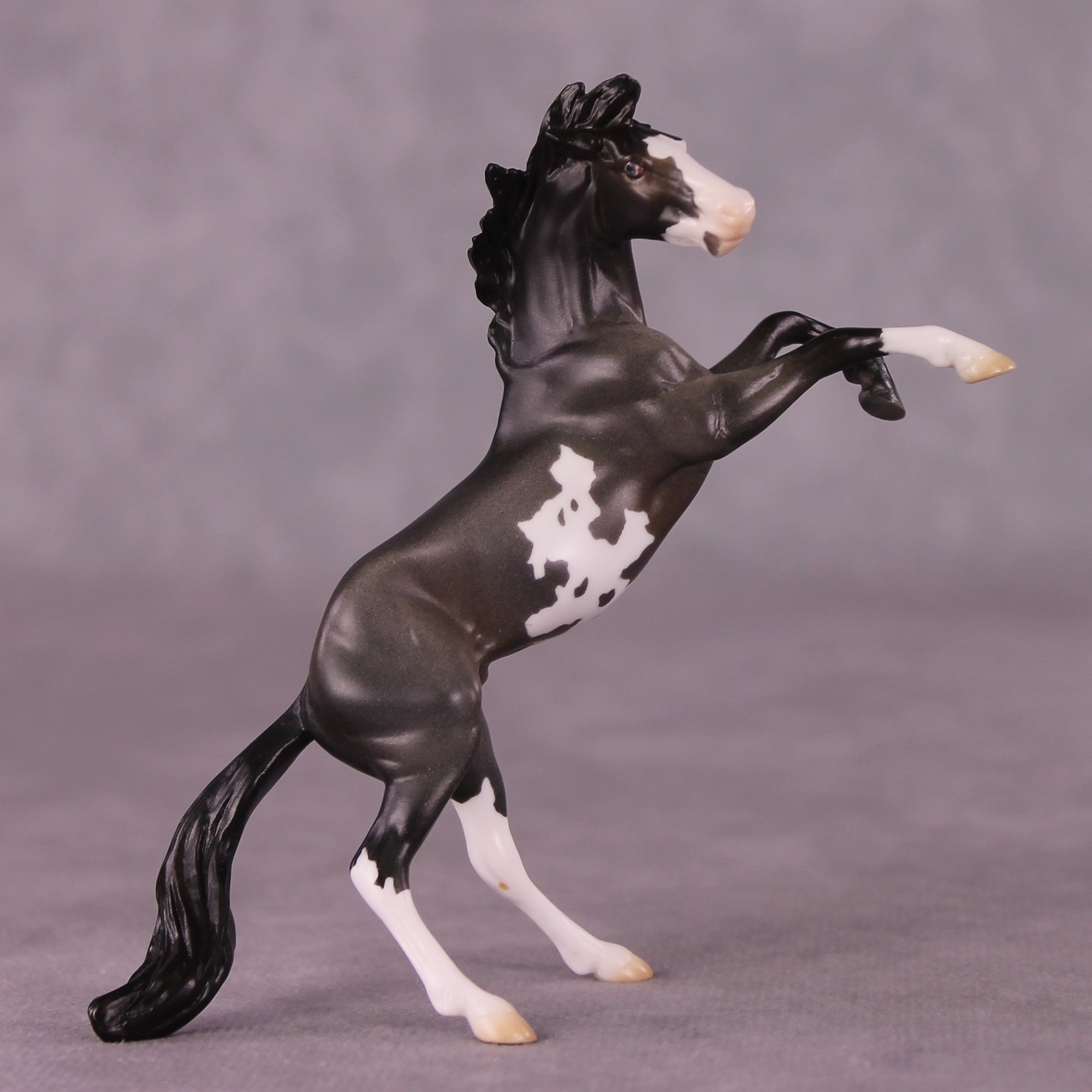 "Horace" OOAK Rearing Chip By Jess Hamill - Menagerie Series