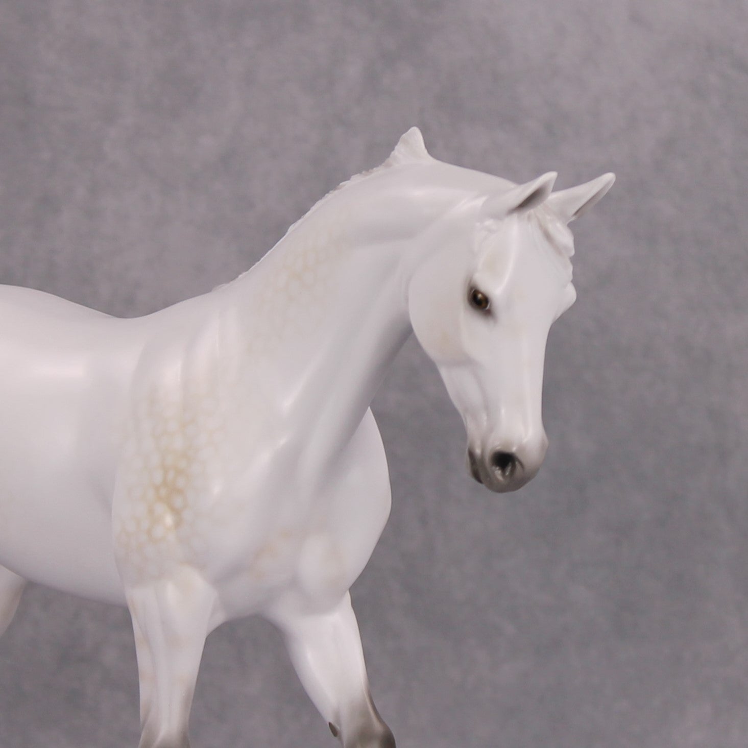 Ephermeral OOAK Dappled Buckskin Going Grey Thoroughbred By Ellen Robbins MM24