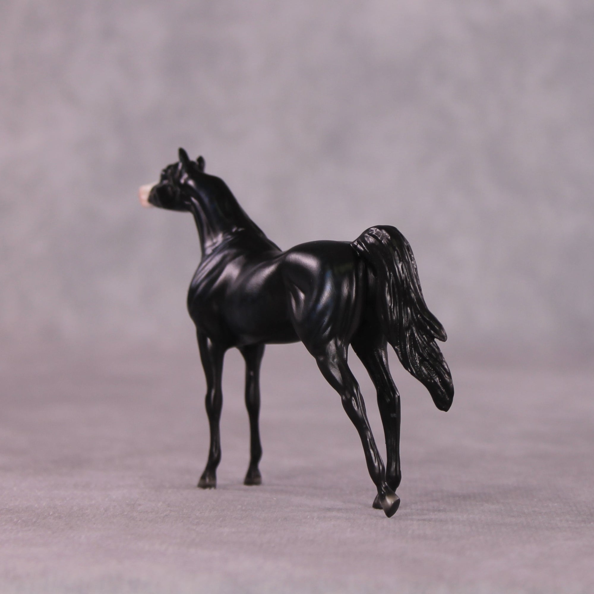 "Lithe" OOAK Arabian Chip by Ellen Robbins SHCF25OS