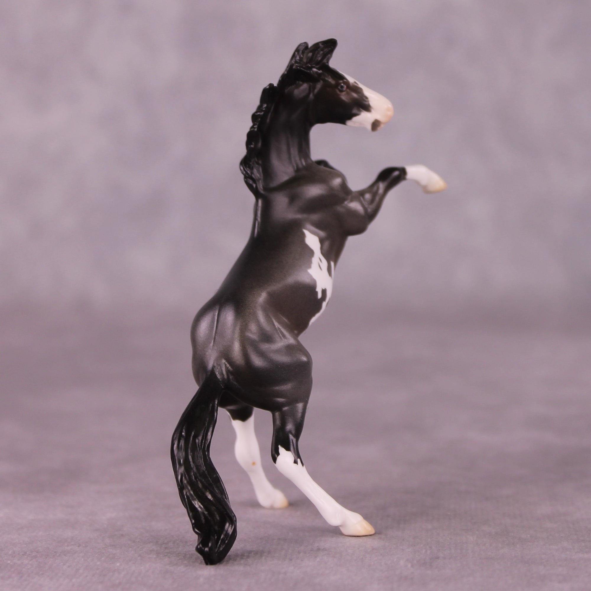 "Horace" OOAK Rearing Chip By Jess Hamill - Menagerie Series