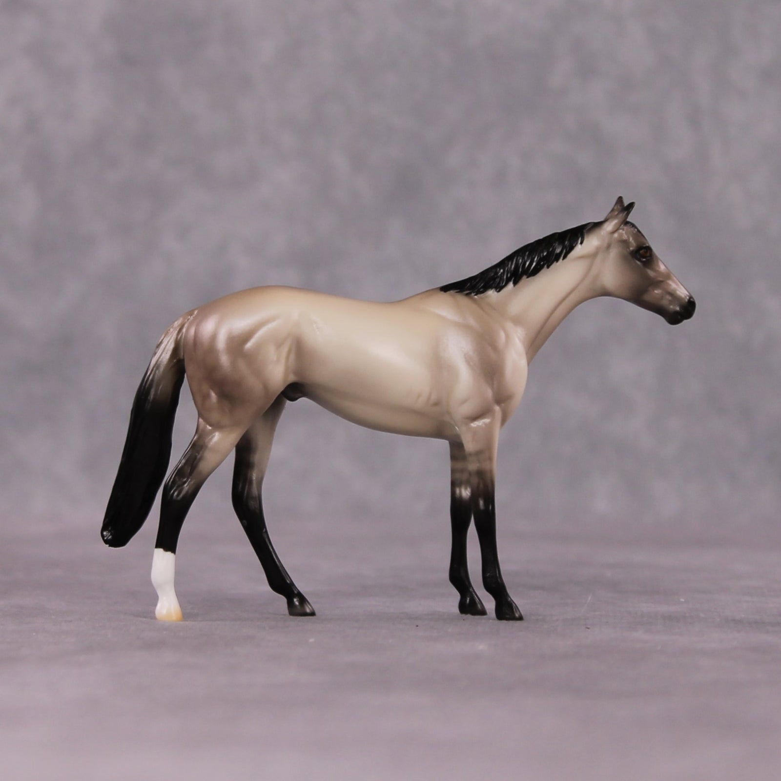 "Allusion" OOAK Dappled Grulla Thoroughbred Chip By Ellen Robbins Shakespeare Sonnet 18 & 130 Chips CL25