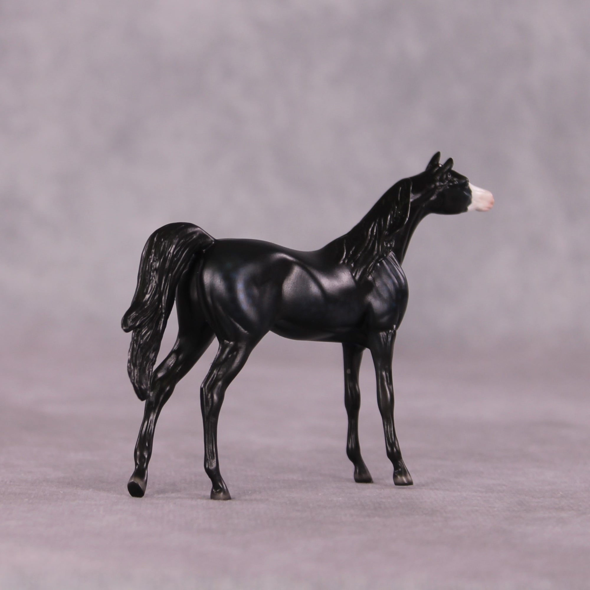 "Lithe" OOAK Arabian Chip by Ellen Robbins SHCF25OS