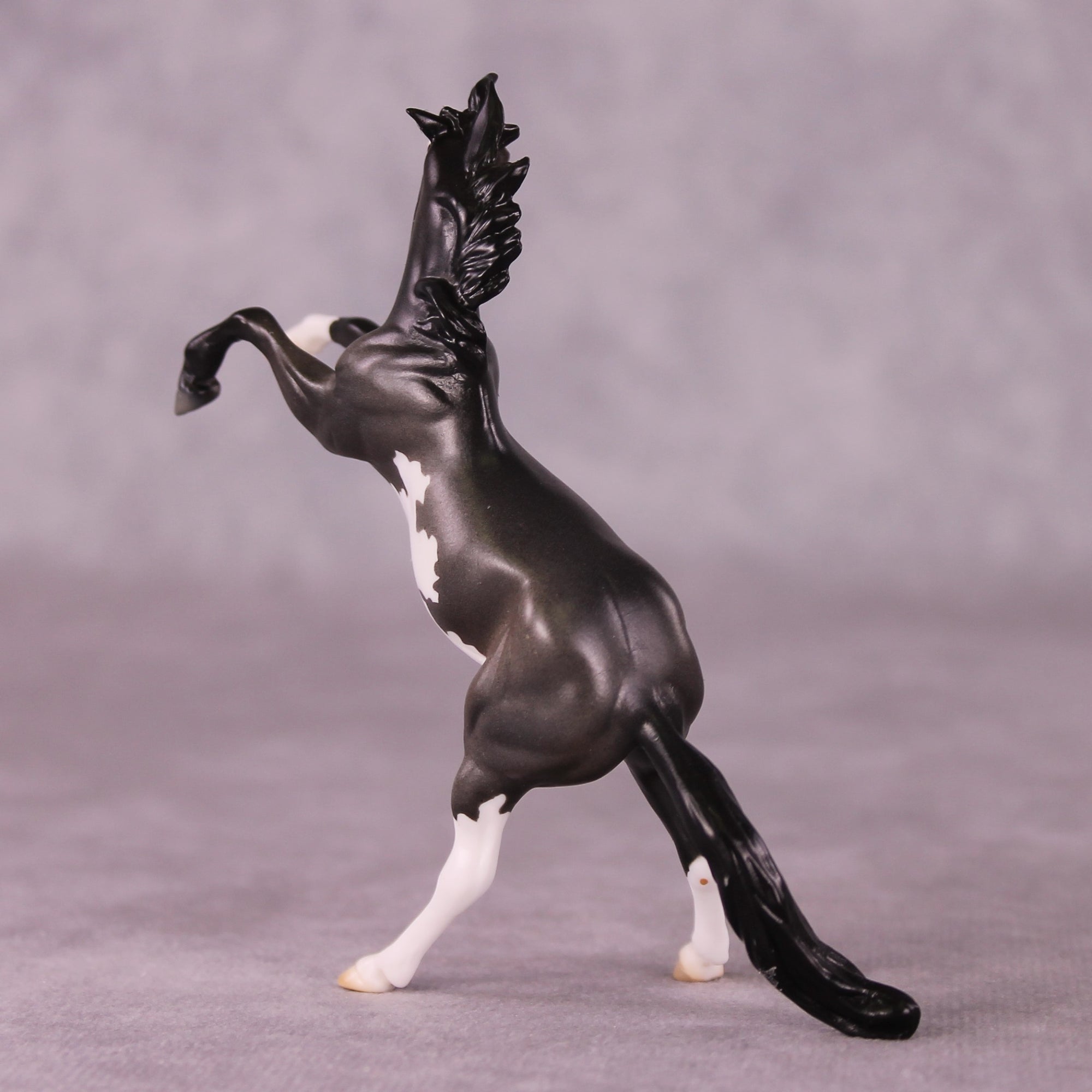 "Horace" OOAK Rearing Chip By Jess Hamill - Menagerie Series