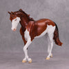 Four Diamonds OOAK Chestnut Splash Thoroughbred By Ellen Robbins MM24