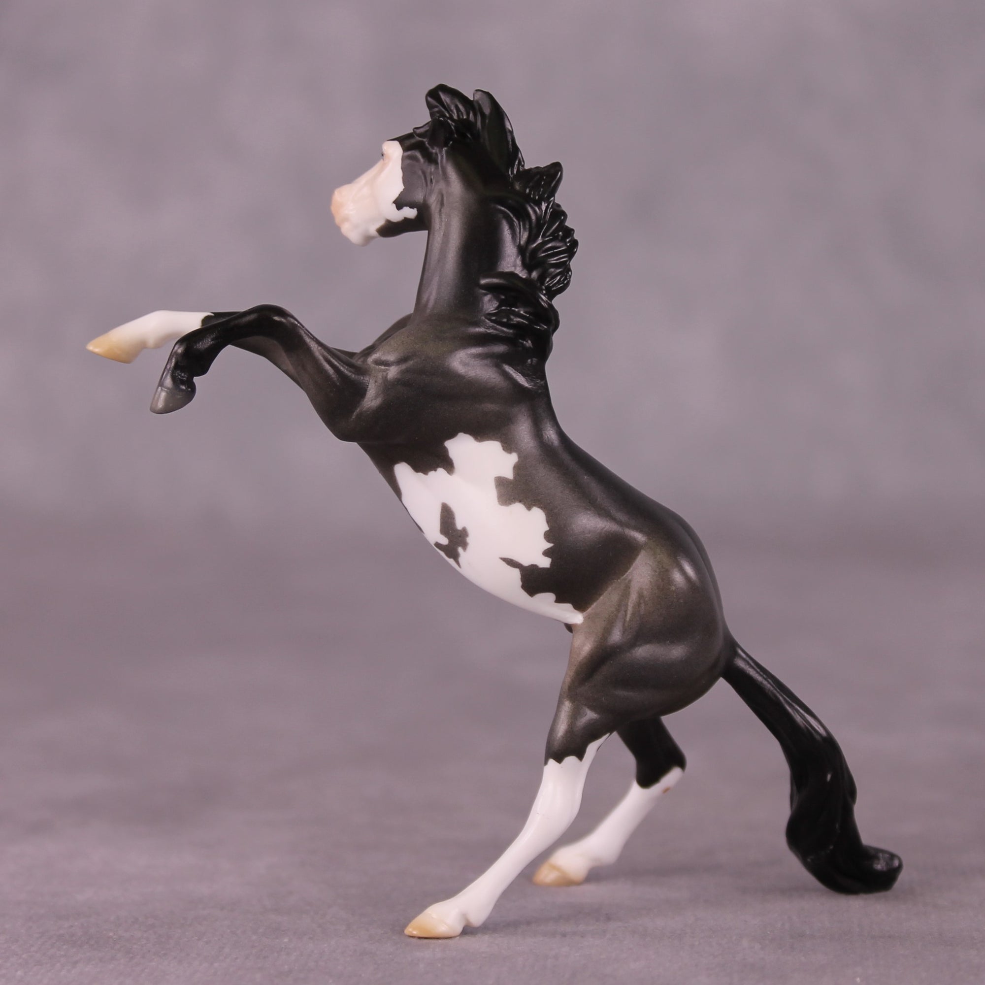 "Horace" OOAK Rearing Chip By Jess Hamill - Menagerie Series