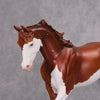Four Diamonds OOAK Chestnut Splash Thoroughbred By Ellen Robbins MM24