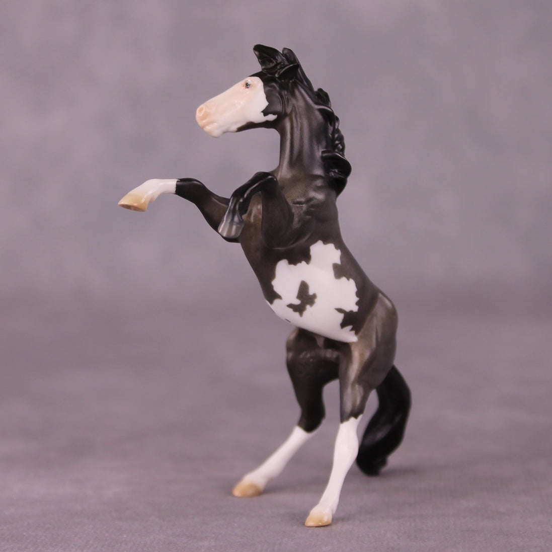 "Horace" OOAK Rearing Chip By Jess Hamill - Menagerie Series