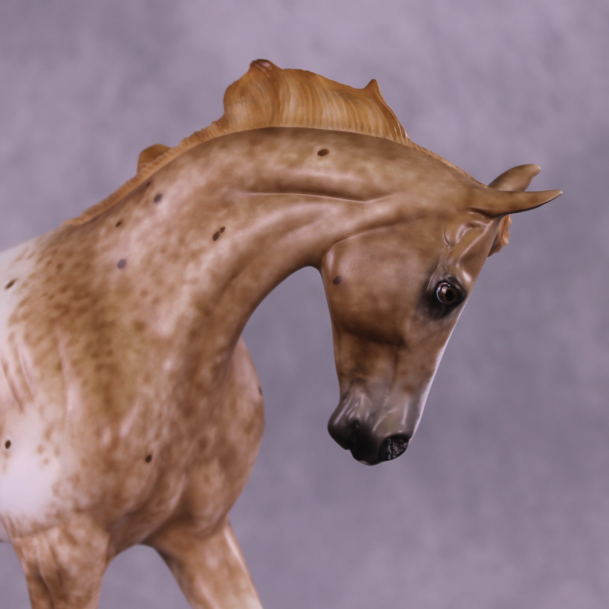 Galahad OOAK FCM Thoroughbred by Sheryl Leisure Best Offer 9/23/2025