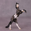 &quot;Horace&quot; OOAK Rearing Chip By Jess Hamill - Menagerie Series