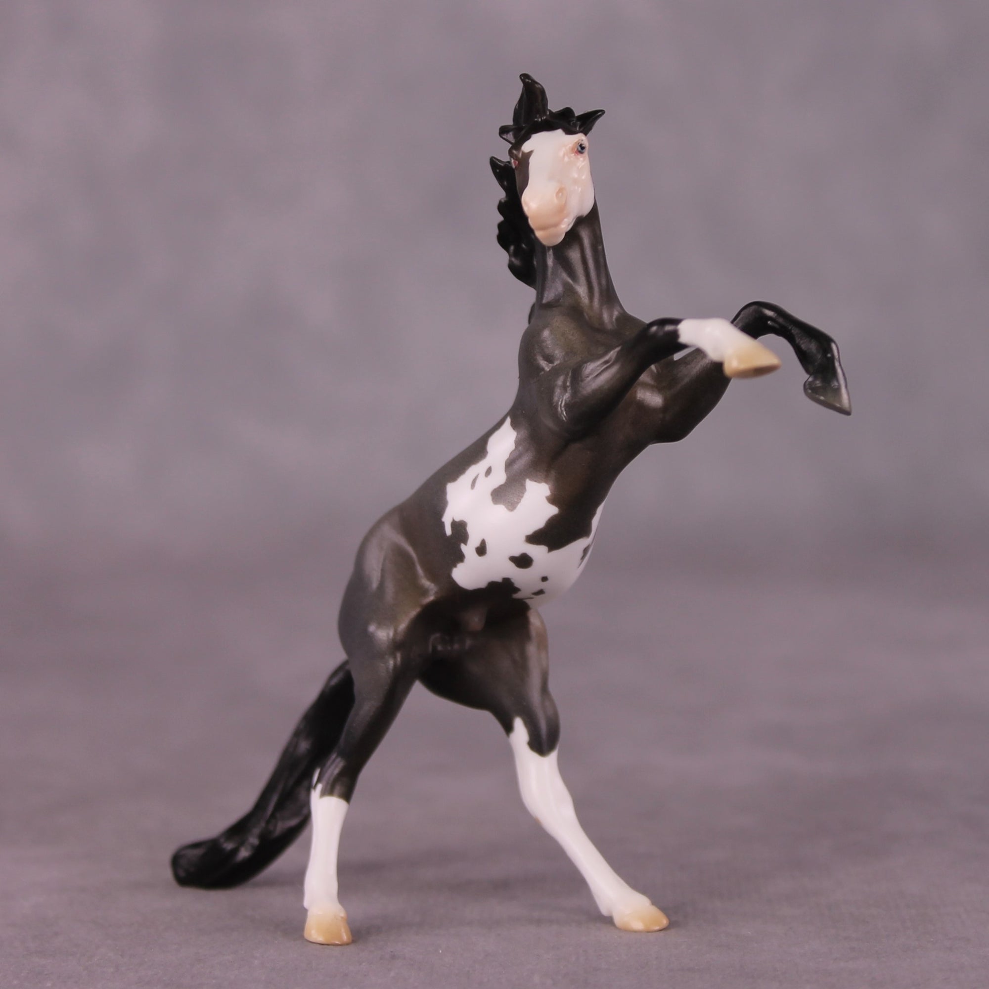 "Horace" OOAK Rearing Chip By Jess Hamill - Menagerie Series