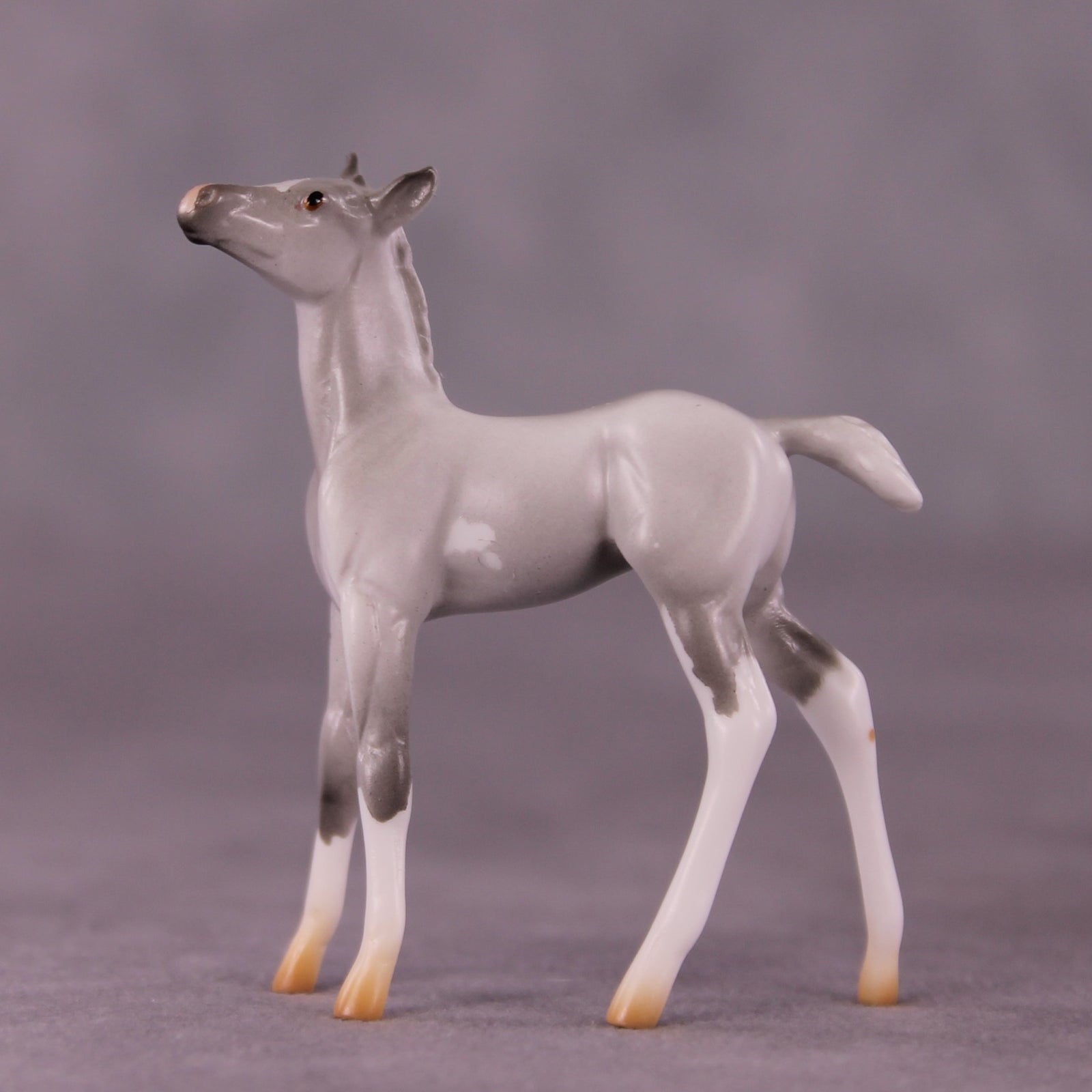 "Myrtle" LE-4 Foal Chip By Anna Rieck $99 Chips Sale