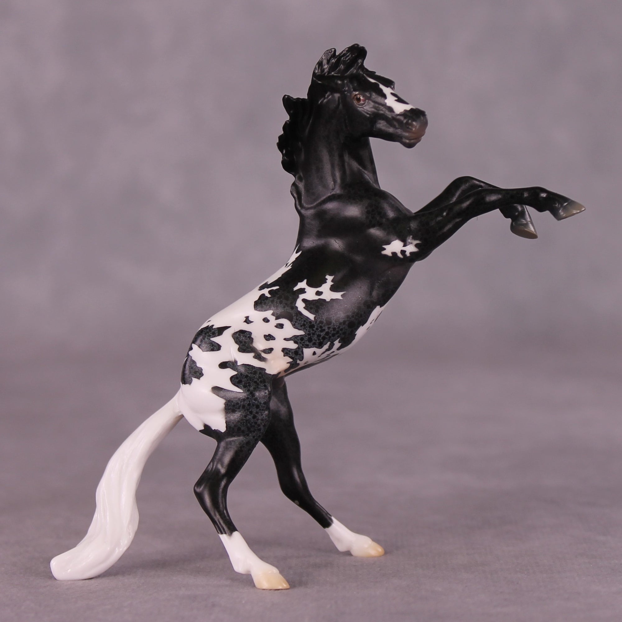 "Rocinante" OOAK Rearing Chip By Jess Hamill - Menagerie Series