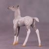 &quot;Myrtle&quot; LE-4 Foal Chip By Anna Rieck $99 Chips Sale