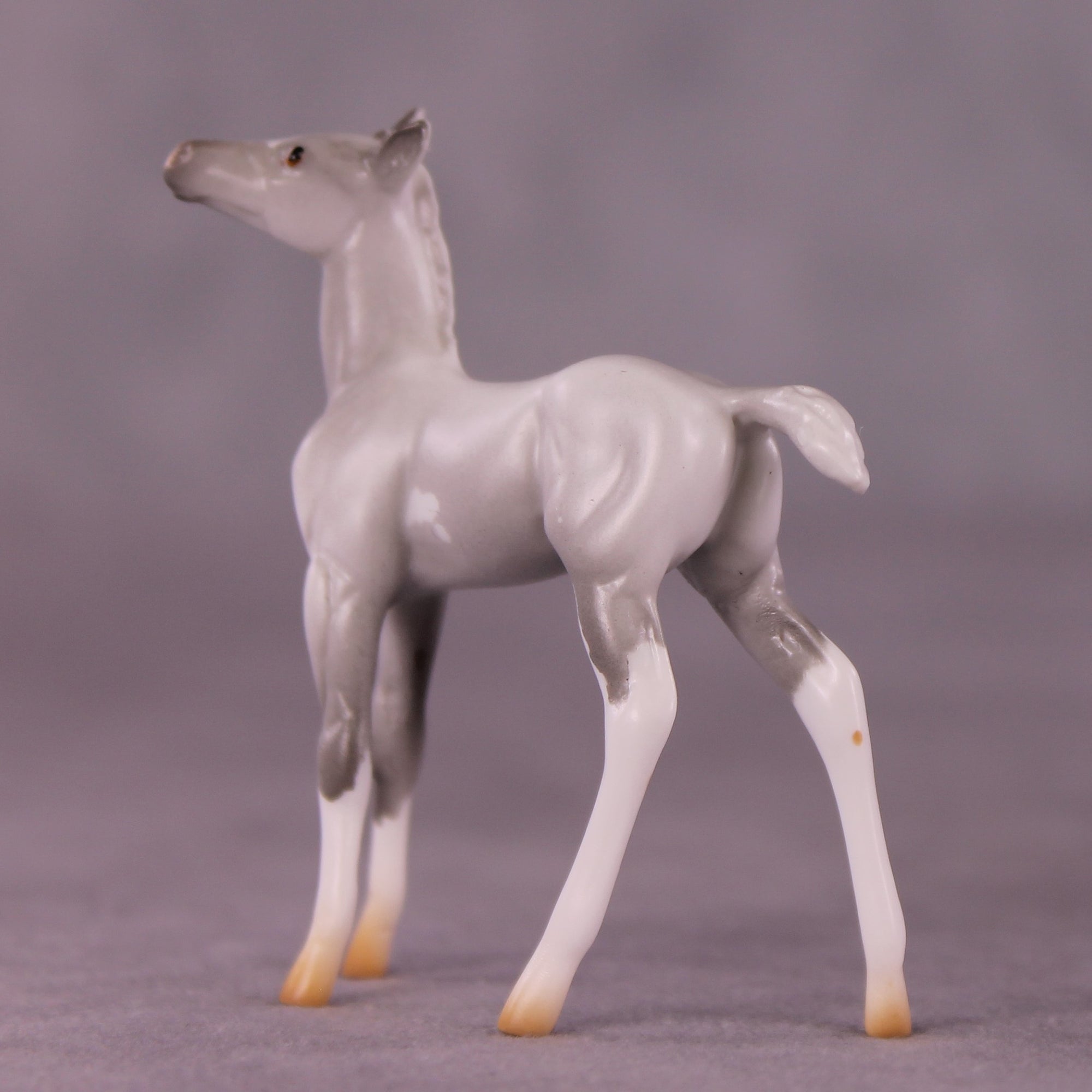 "Myrtle" LE-4 Foal Chip By Anna Rieck $99 Chips Sale