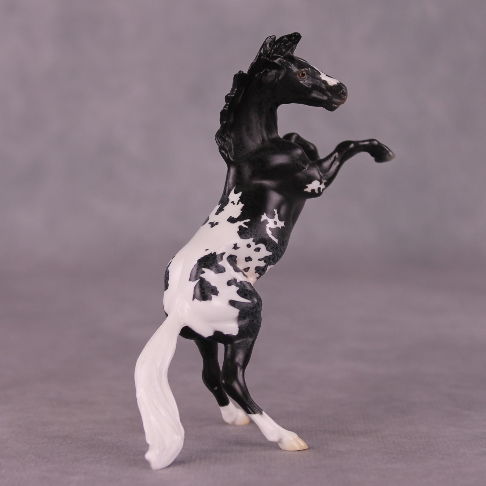 "Rocinante" OOAK Rearing Chip By Jess Hamill - Menagerie Series