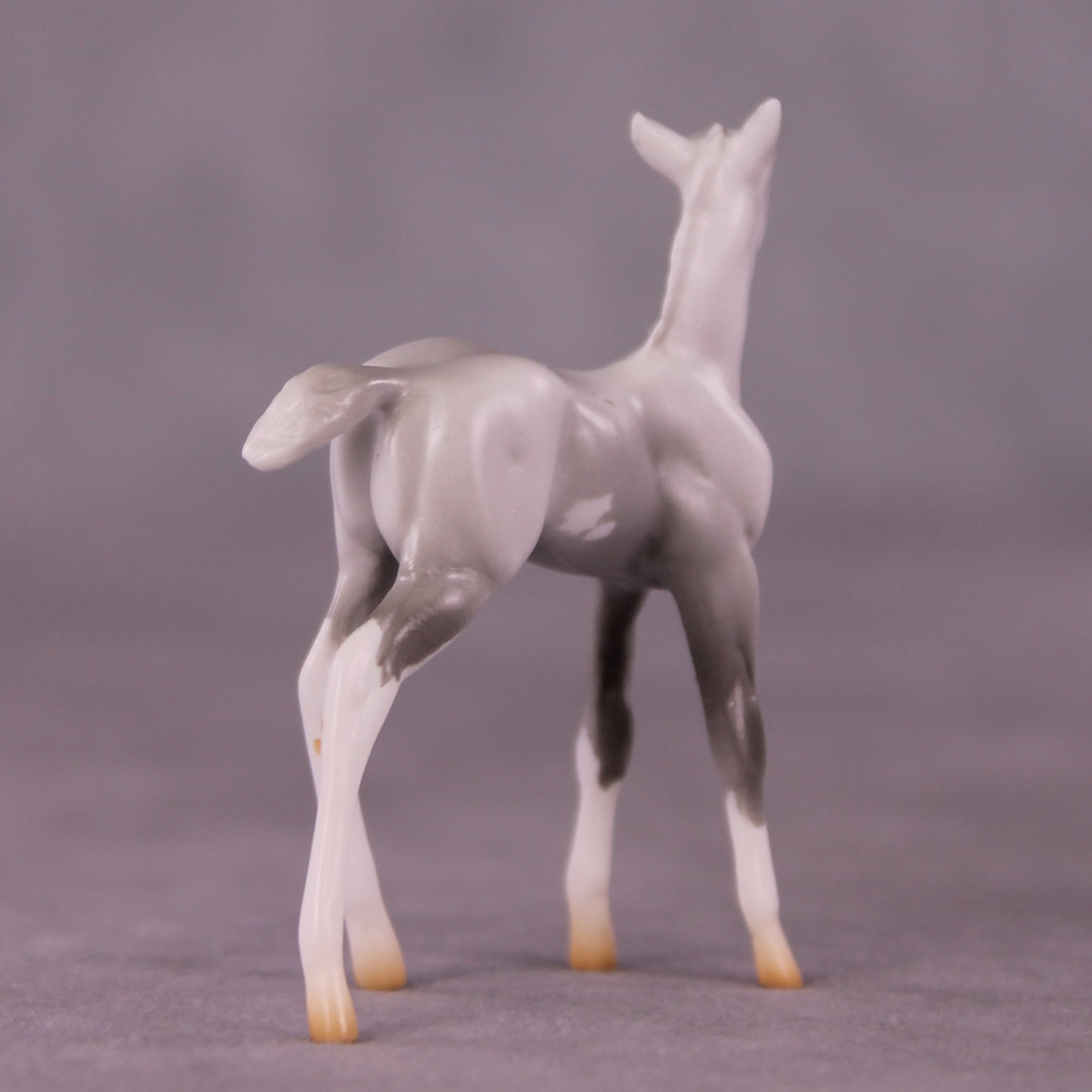 "Myrtle" LE-4 Foal Chip By Anna Rieck $99 Chips Sale