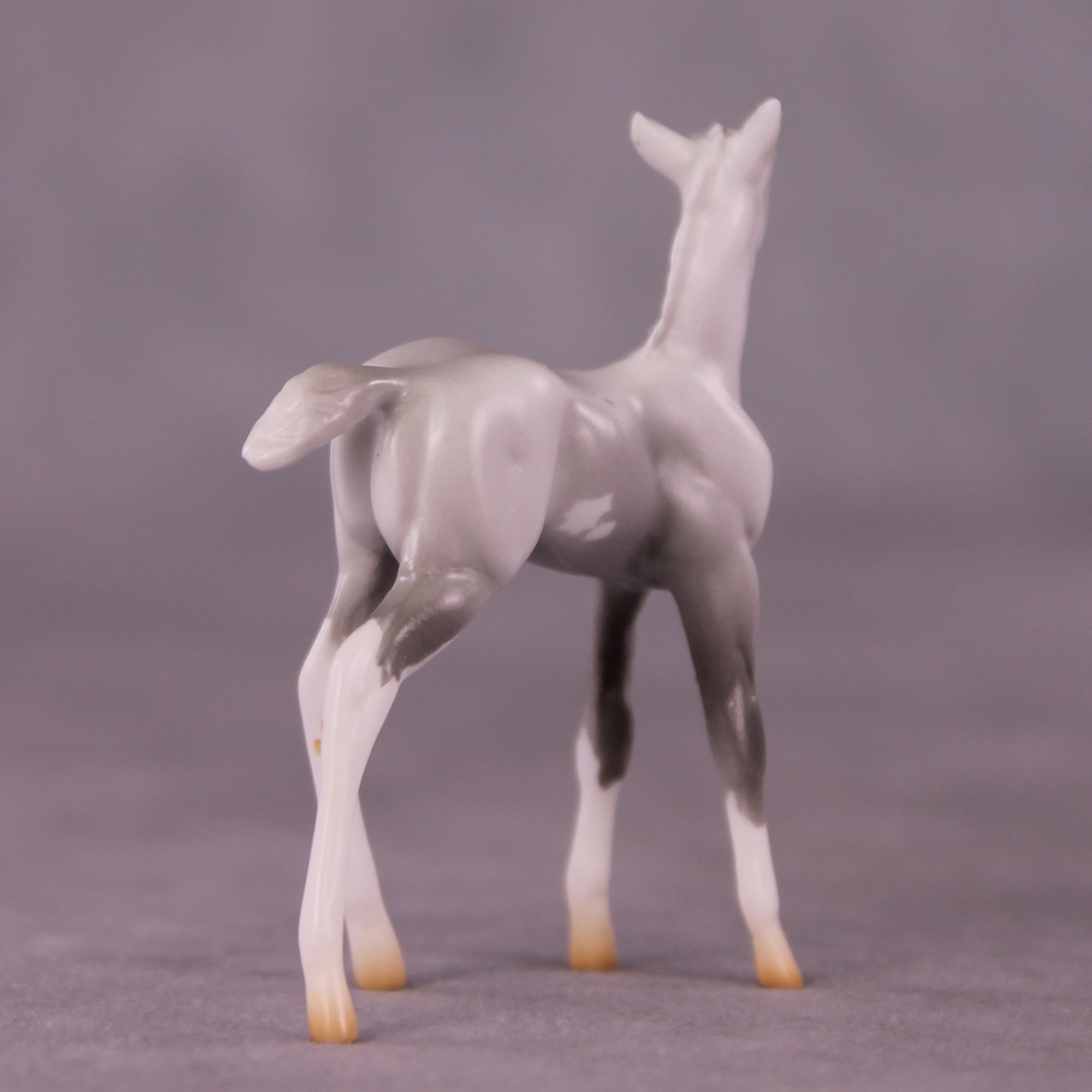 "Myrtle" LE-4 Foal Chip By Anna Rieck $99 Chips Sale