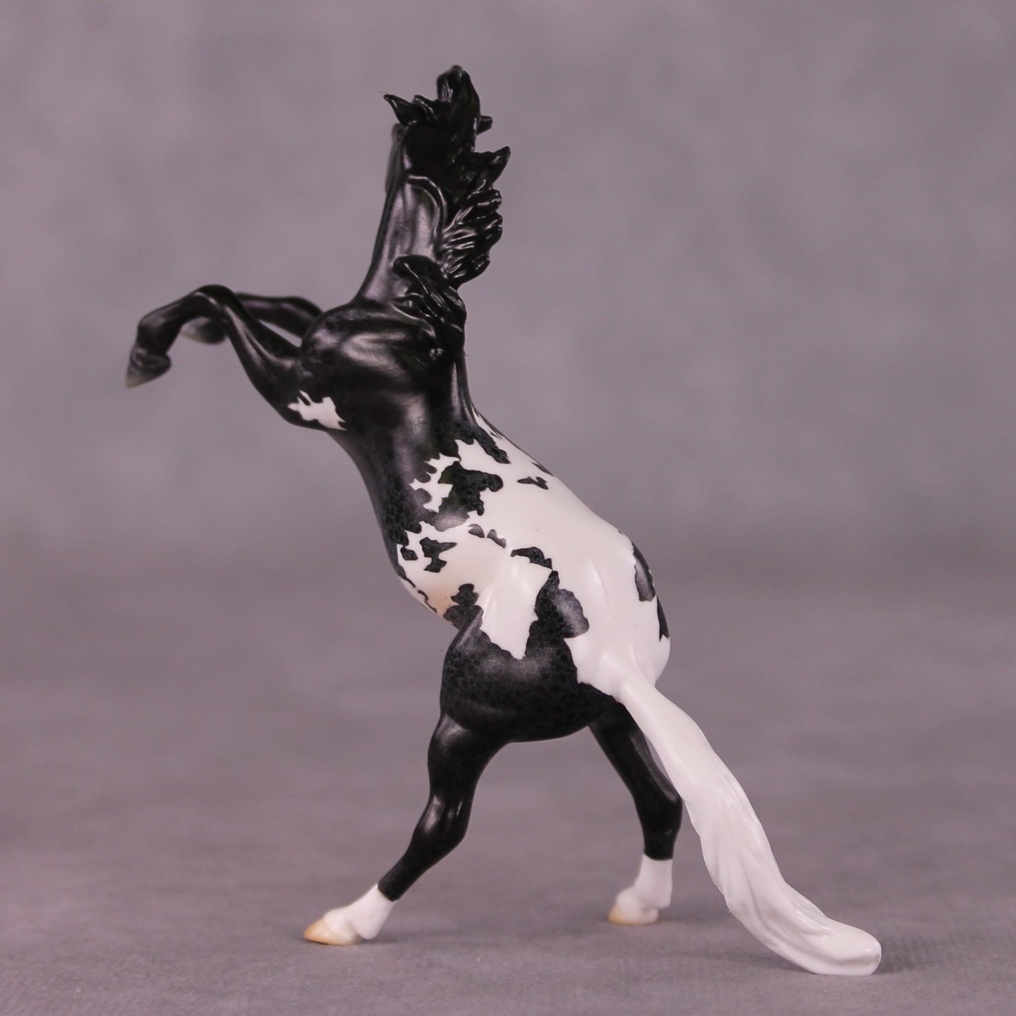 "Rocinante" OOAK Rearing Chip By Jess Hamill - Menagerie Series