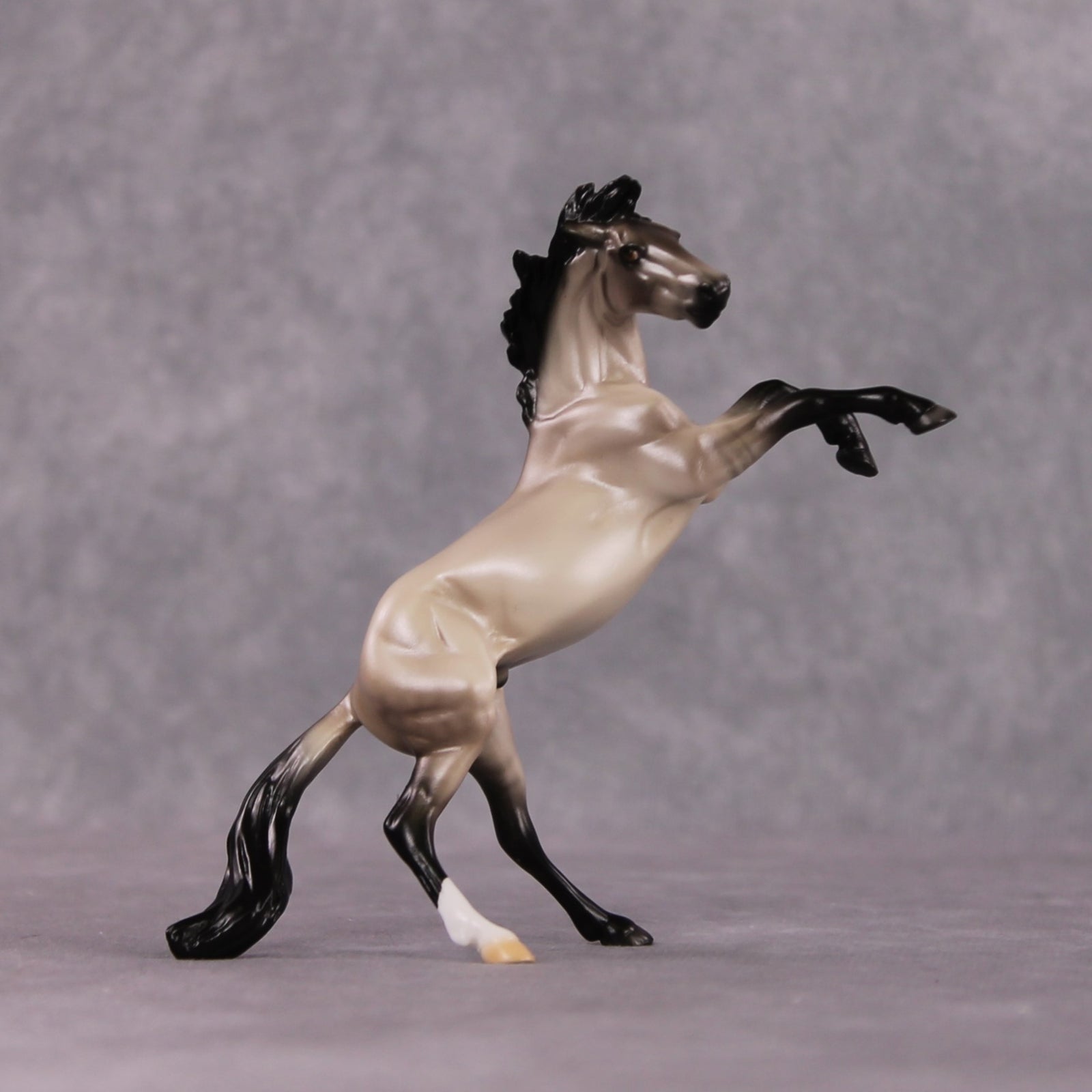 "Verse" OOAK Dappled Grulla Rearing Chip By Ellen Robbins Shakespeare Sonnet 18 & 130 Chips CL25