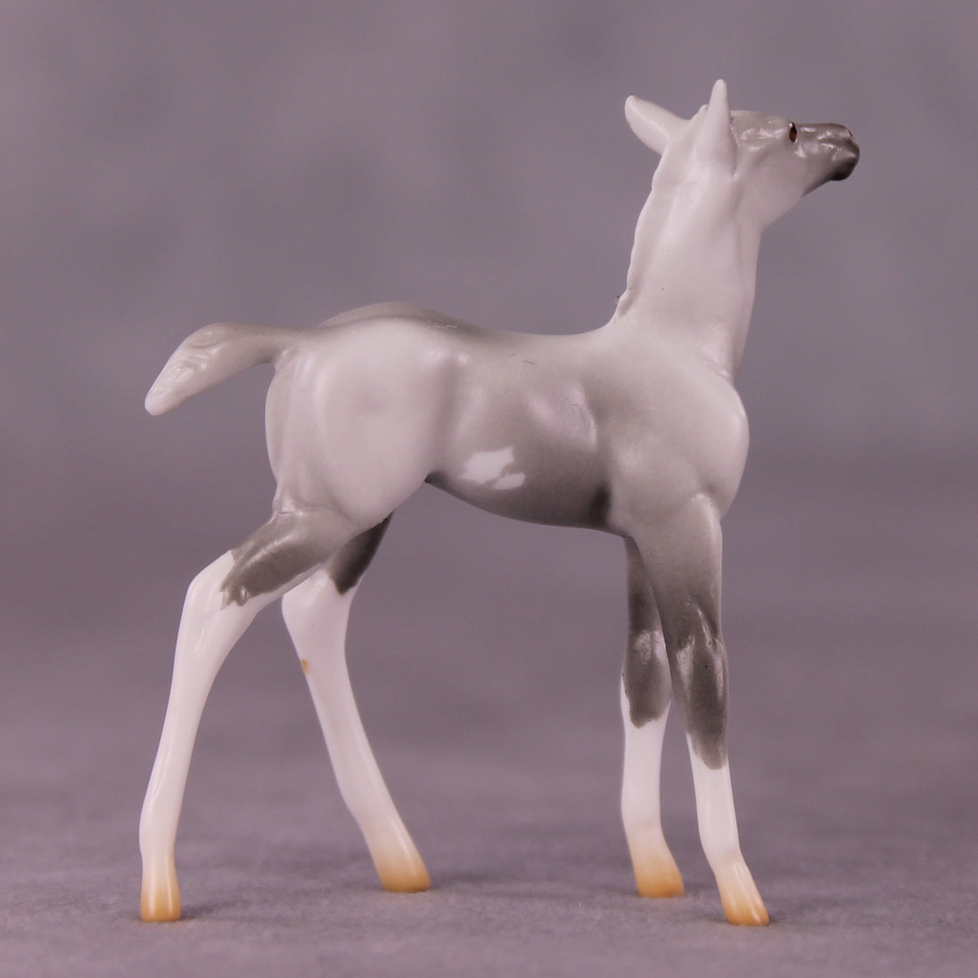 "Myrtle" LE-4 Foal Chip By Anna Rieck $99 Chips Sale