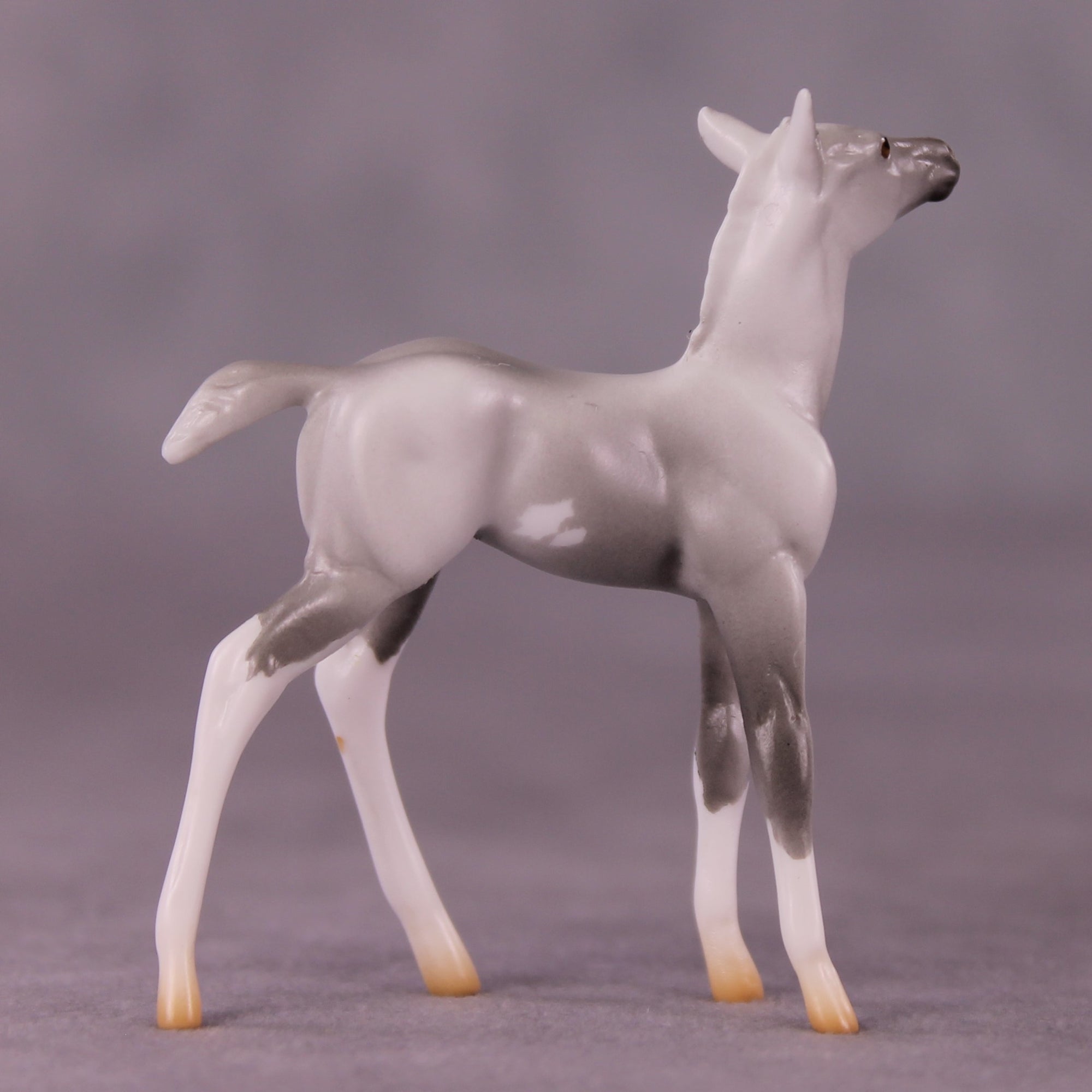 "Myrtle" LE-4 Foal Chip By Anna Rieck $99 Chips Sale