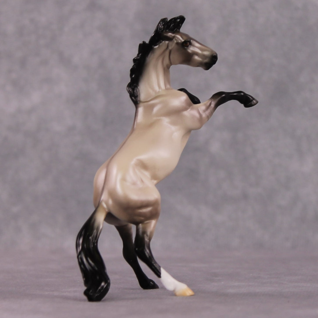 "Verse" OOAK Dappled Grulla Rearing Chip By Ellen Robbins Shakespeare Sonnet 18 & 130 Chips CL25