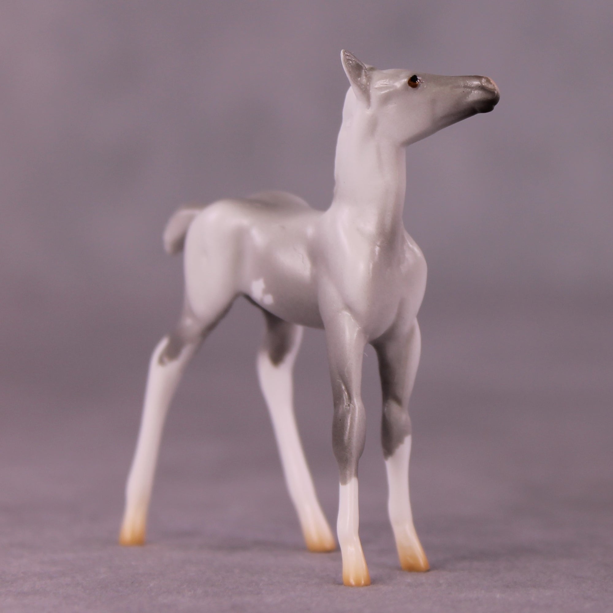 "Myrtle" LE-4 Foal Chip By Anna Rieck $99 Chips Sale