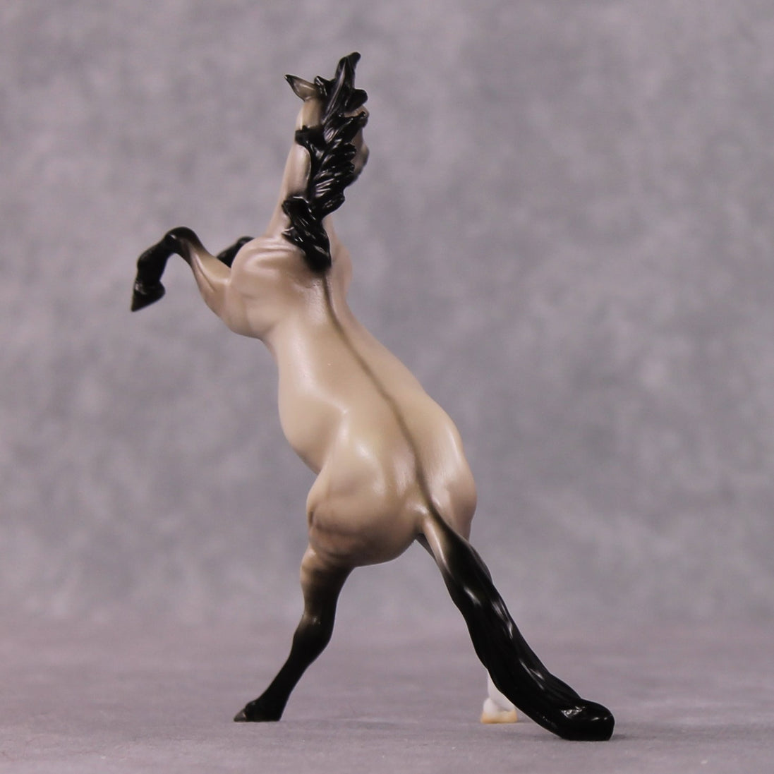 "Verse" OOAK Dappled Grulla Rearing Chip By Ellen Robbins Shakespeare Sonnet 18 & 130 Chips CL25