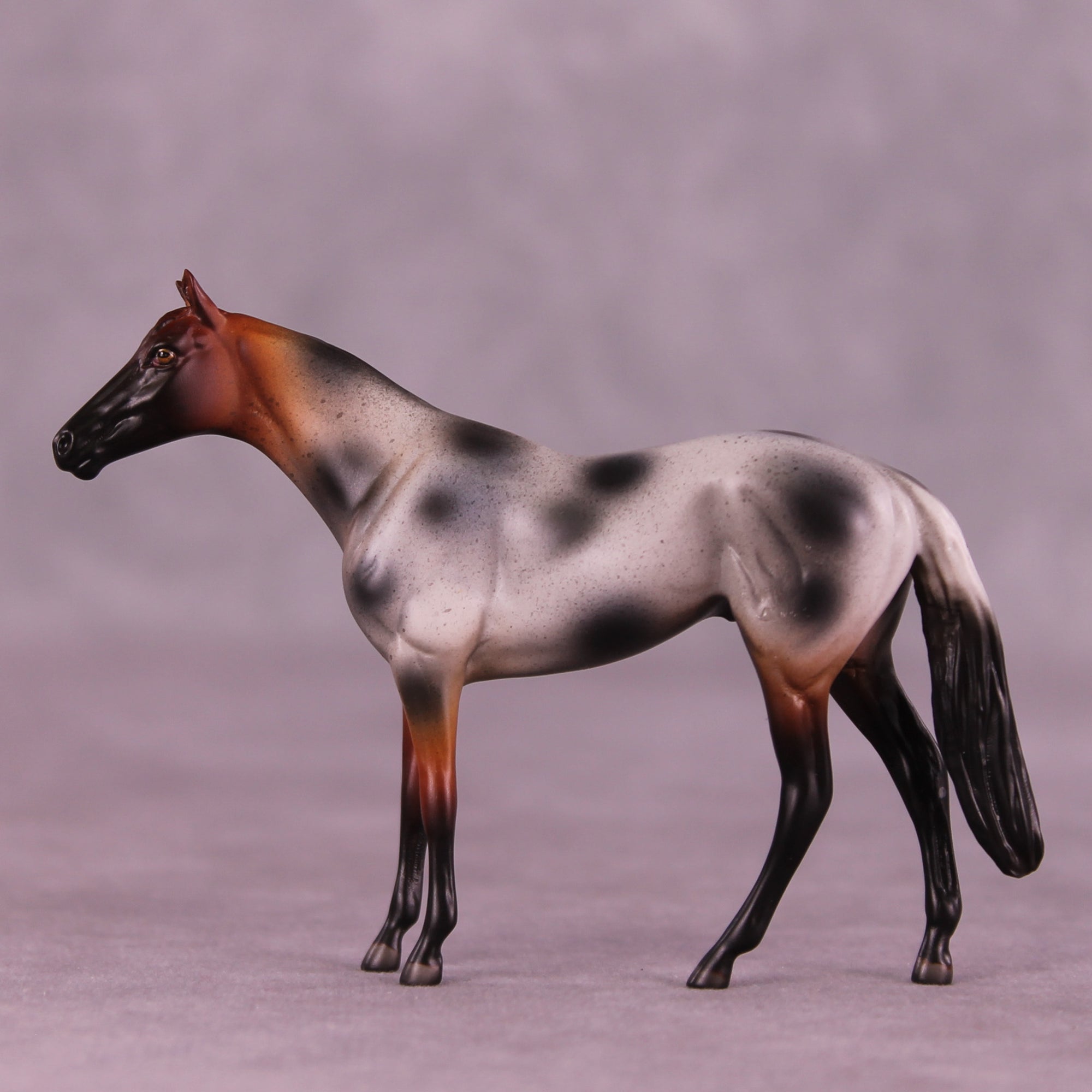 Brown Sugar Boba LE-5 Chip Thoroughbred by Anna Rieck October $99 Chips