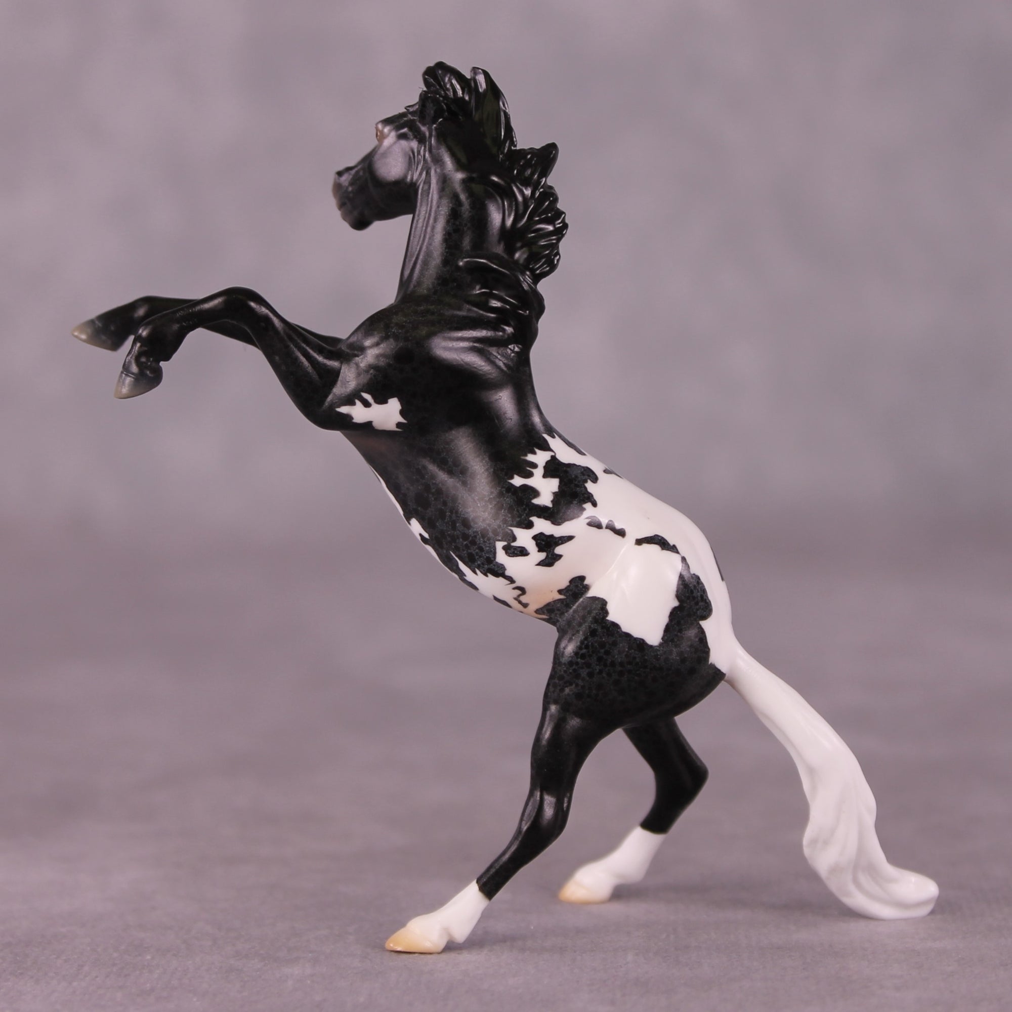 "Rocinante" OOAK Rearing Chip By Jess Hamill - Menagerie Series