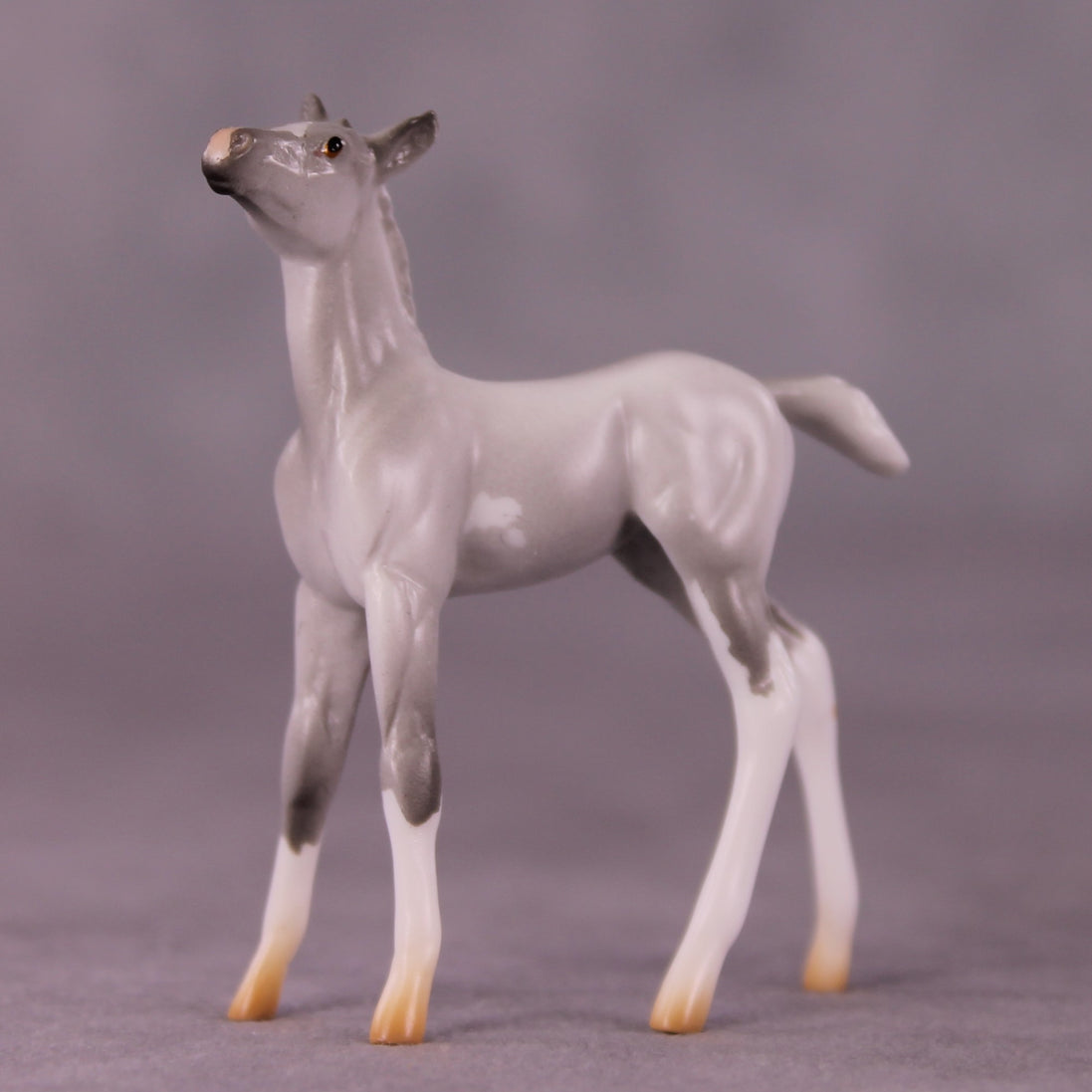 "Myrtle" LE-4 Foal Chip By Anna Rieck $99 Chips Sale