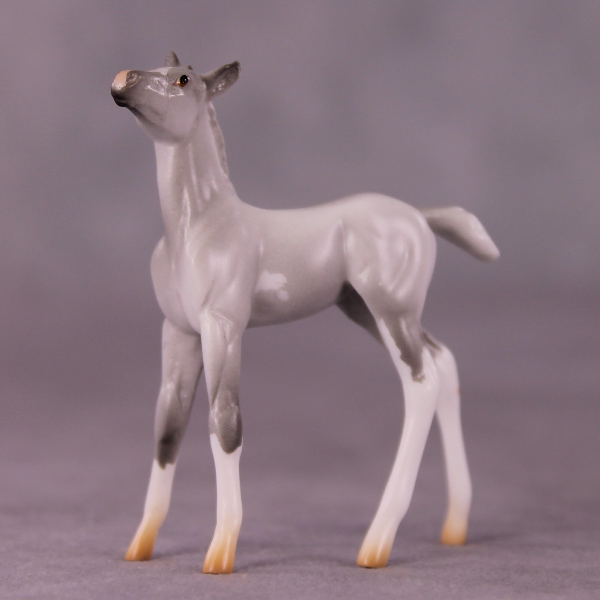 "Myrtle" LE-4 Foal Chip By Anna Rieck $99 Chips Sale