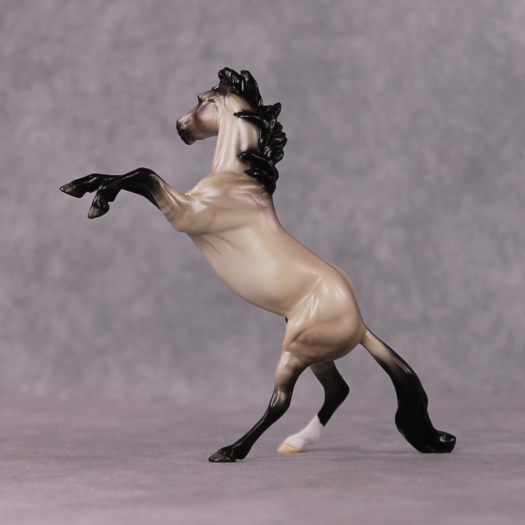 "Verse" OOAK Dappled Grulla Rearing Chip By Ellen Robbins Shakespeare Sonnet 18 &amp; 130 Chips CL25