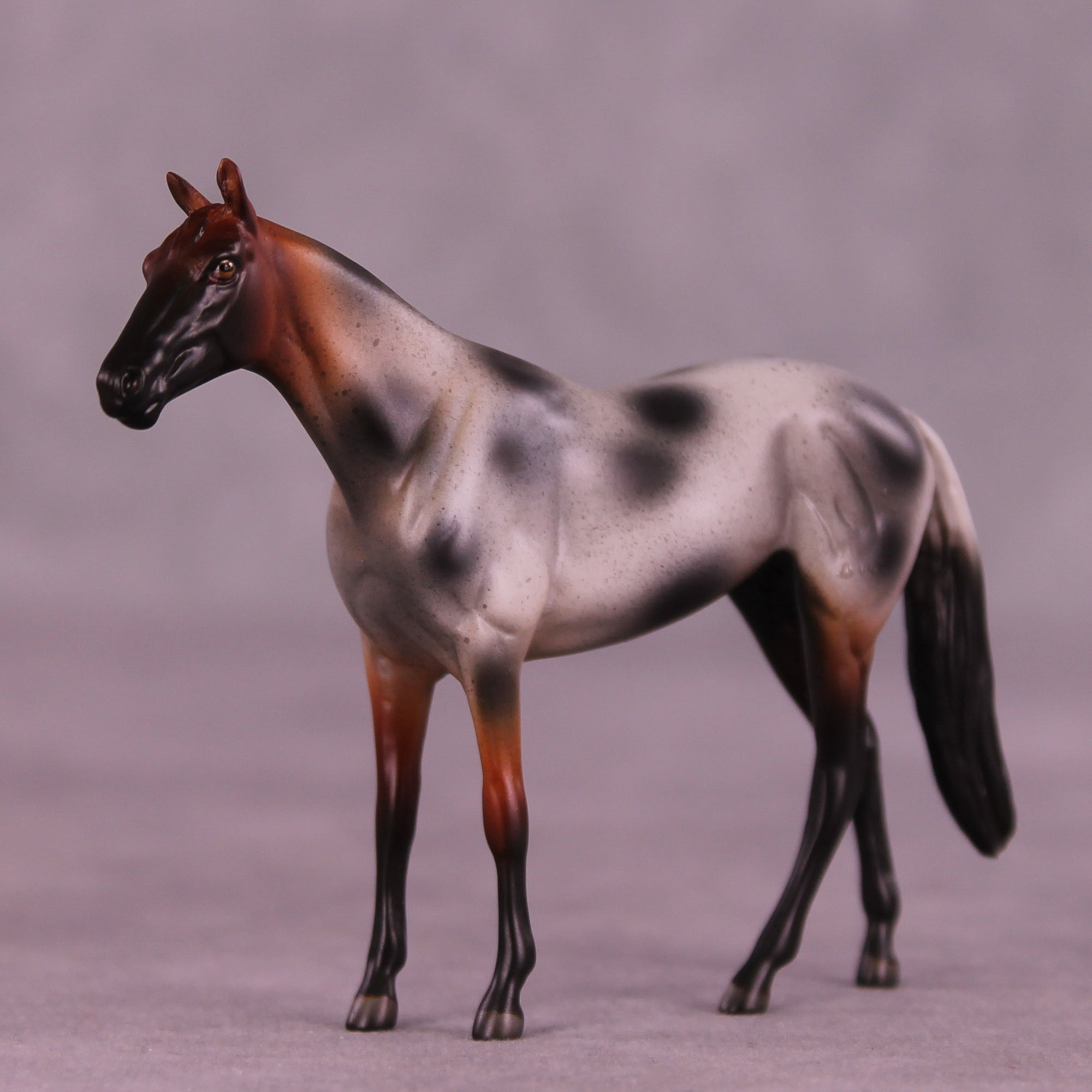 Brown Sugar Boba LE-5 Chip Thoroughbred by Anna Rieck October $99 Chips