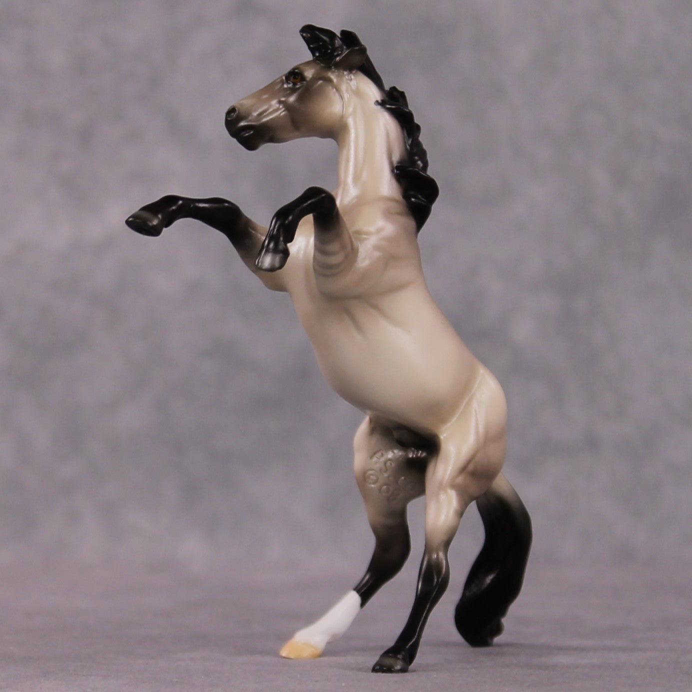 "Verse" OOAK Dappled Grulla Rearing Chip By Ellen Robbins Shakespeare Sonnet 18 &amp; 130 Chips CL25