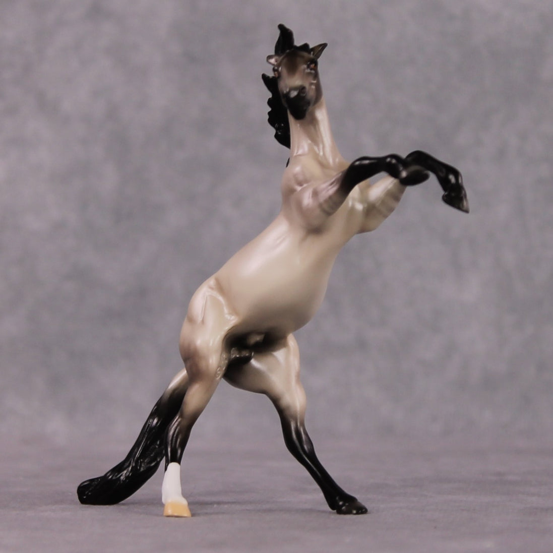 "Verse" OOAK Dappled Grulla Rearing Chip By Ellen Robbins Shakespeare Sonnet 18 & 130 Chips CL25