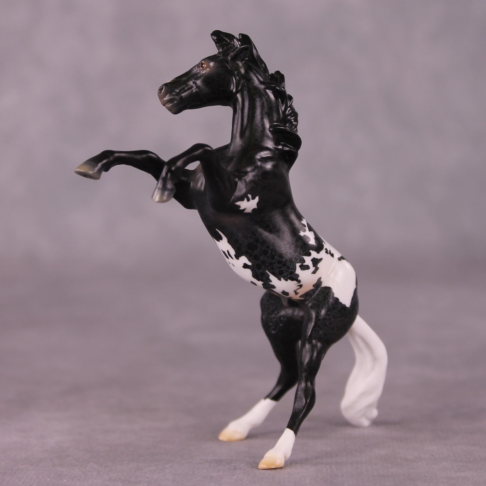 "Rocinante" OOAK Rearing Chip By Jess Hamill - Menagerie Series