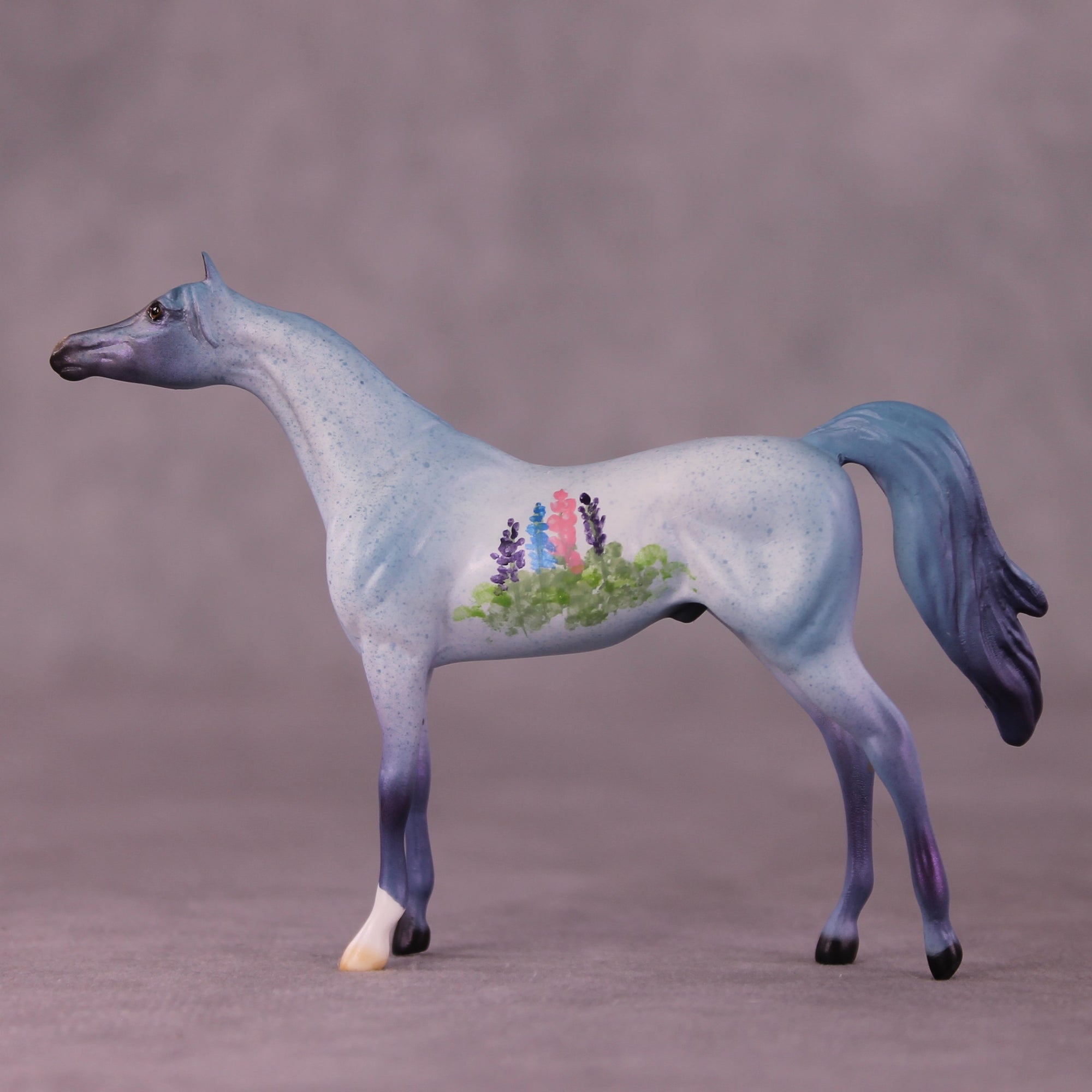 SAMPLE Tiddles Chip Arabian by Dawn Quick 11/25/2025 SS1125