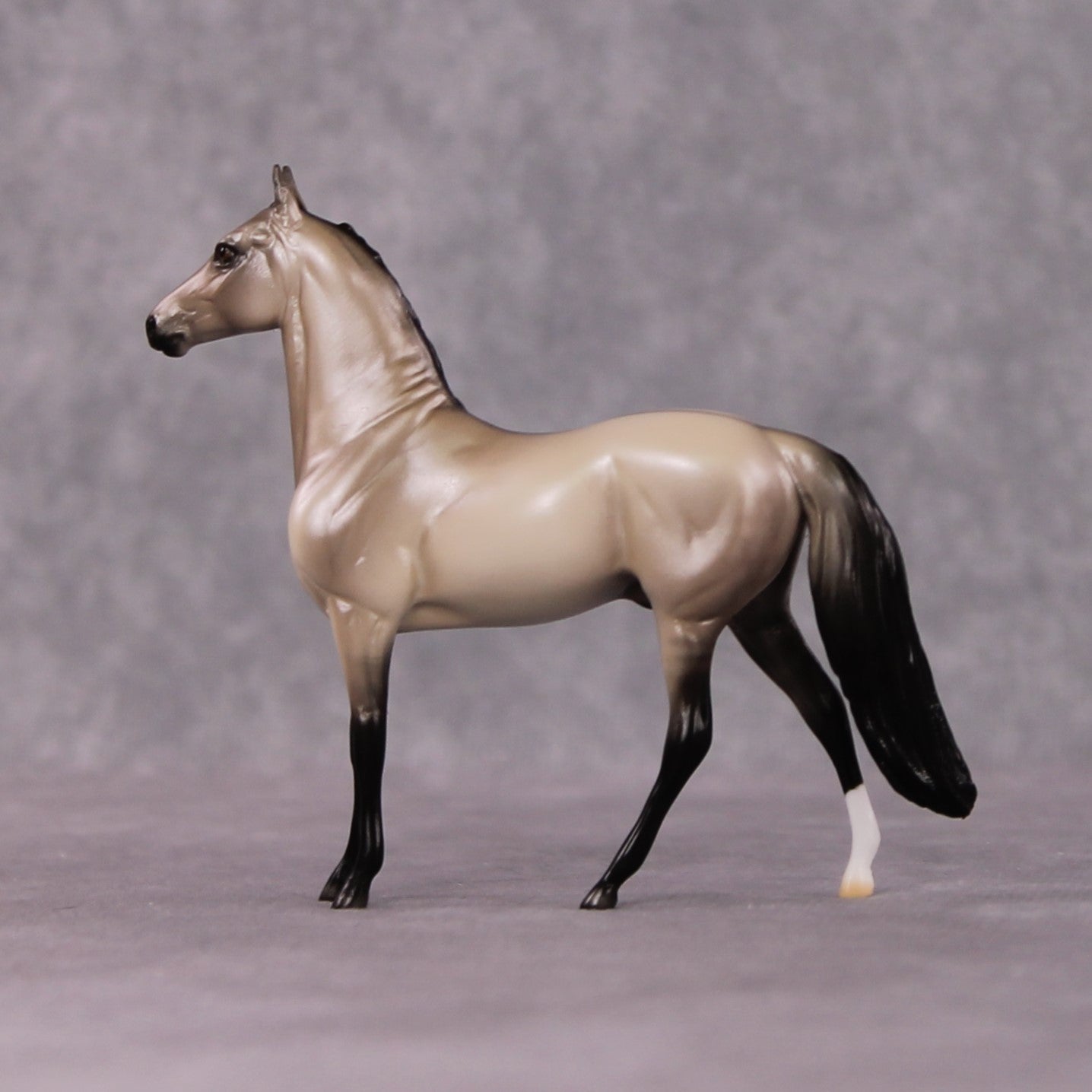 "Iambic" OOAK Dappled Grulla Morgan Chip By Ellen Robbins Shakespeare Sonnet 18 &amp; 130 Chips CL25