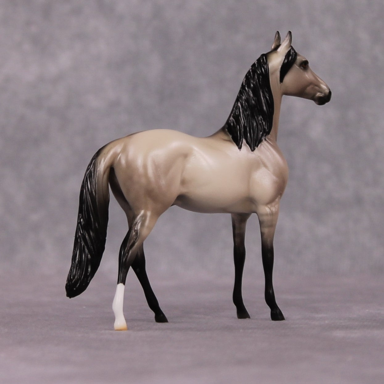 "Iambic" OOAK Dappled Grulla Morgan Chip By Ellen Robbins Shakespeare Sonnet 18 &amp; 130 Chips CL25