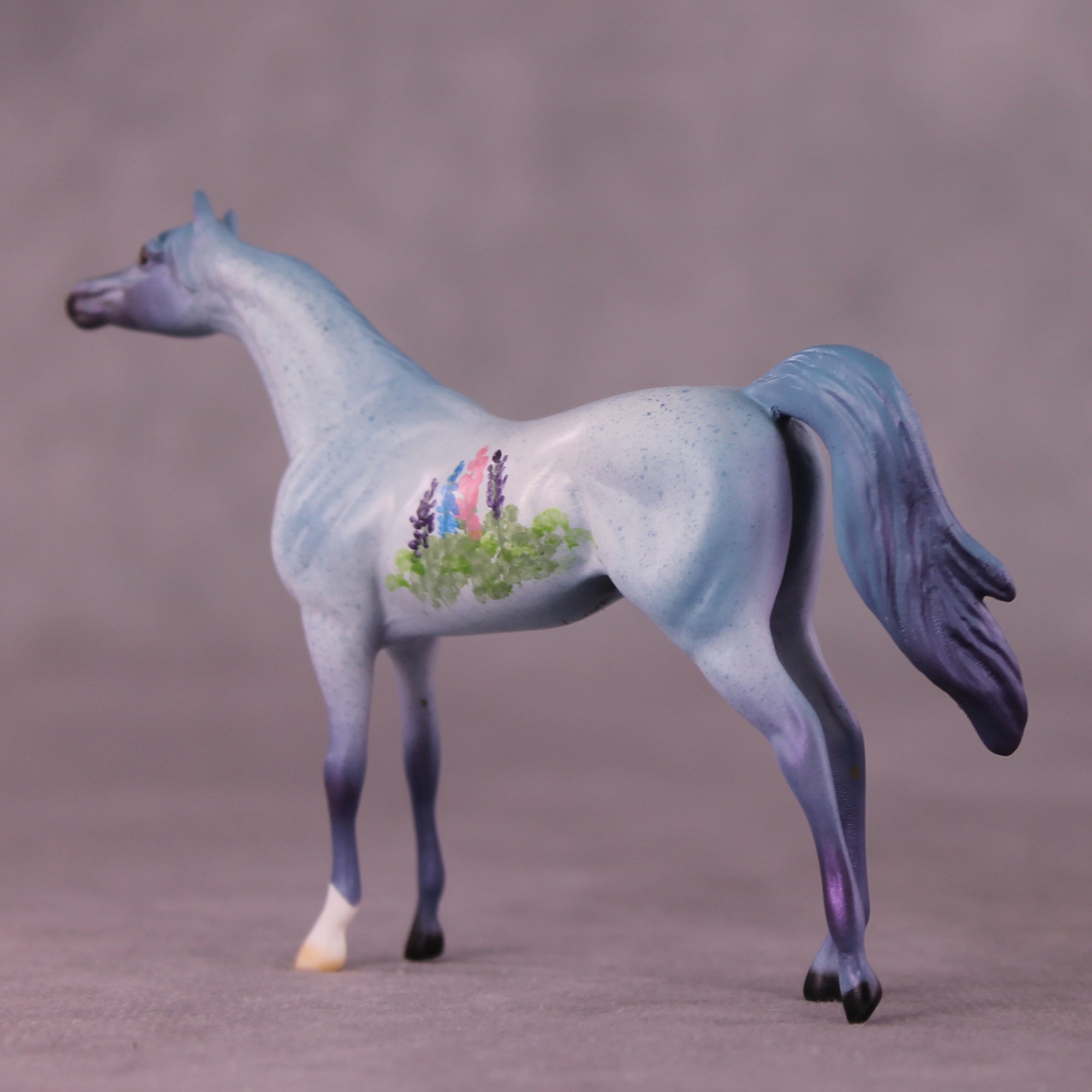 SAMPLE Tiddles Chip Arabian by Dawn Quick 11/25/2025 SS1125