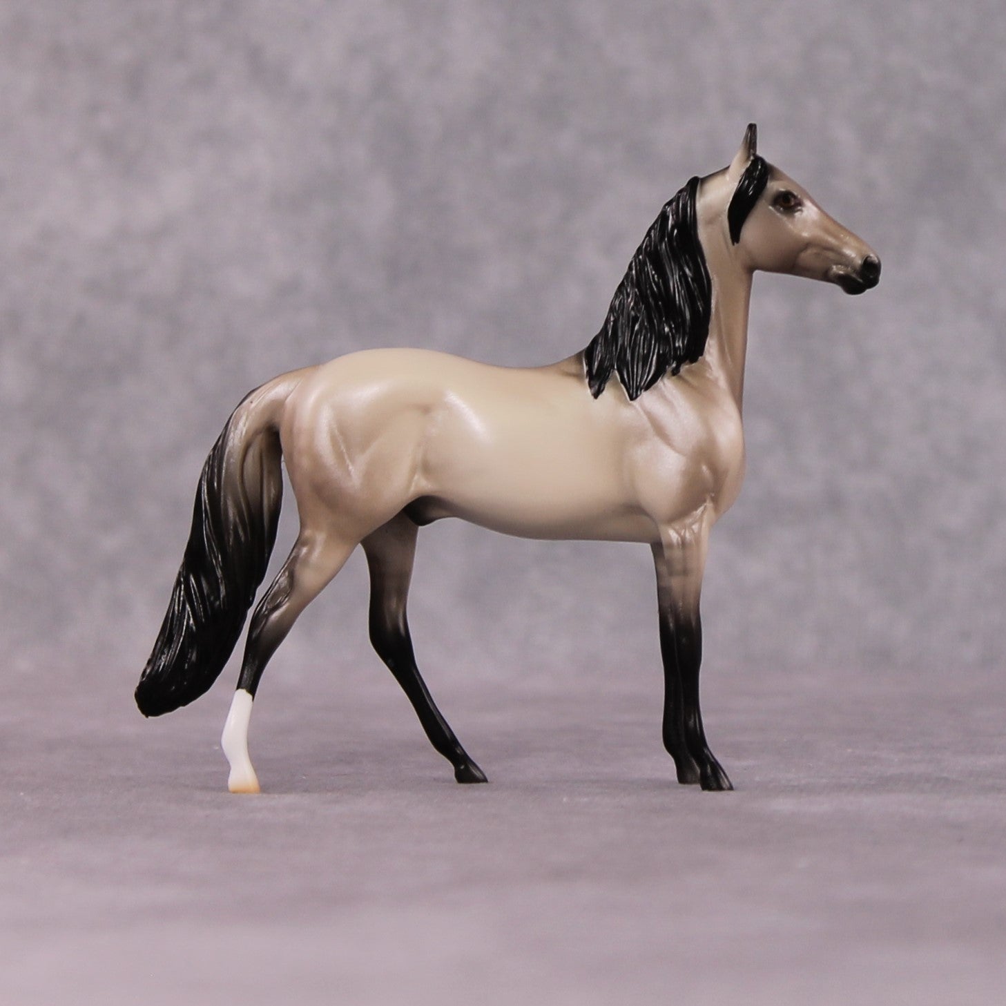 "Iambic" OOAK Dappled Grulla Morgan Chip By Ellen Robbins Shakespeare Sonnet 18 & 130 Chips CL25