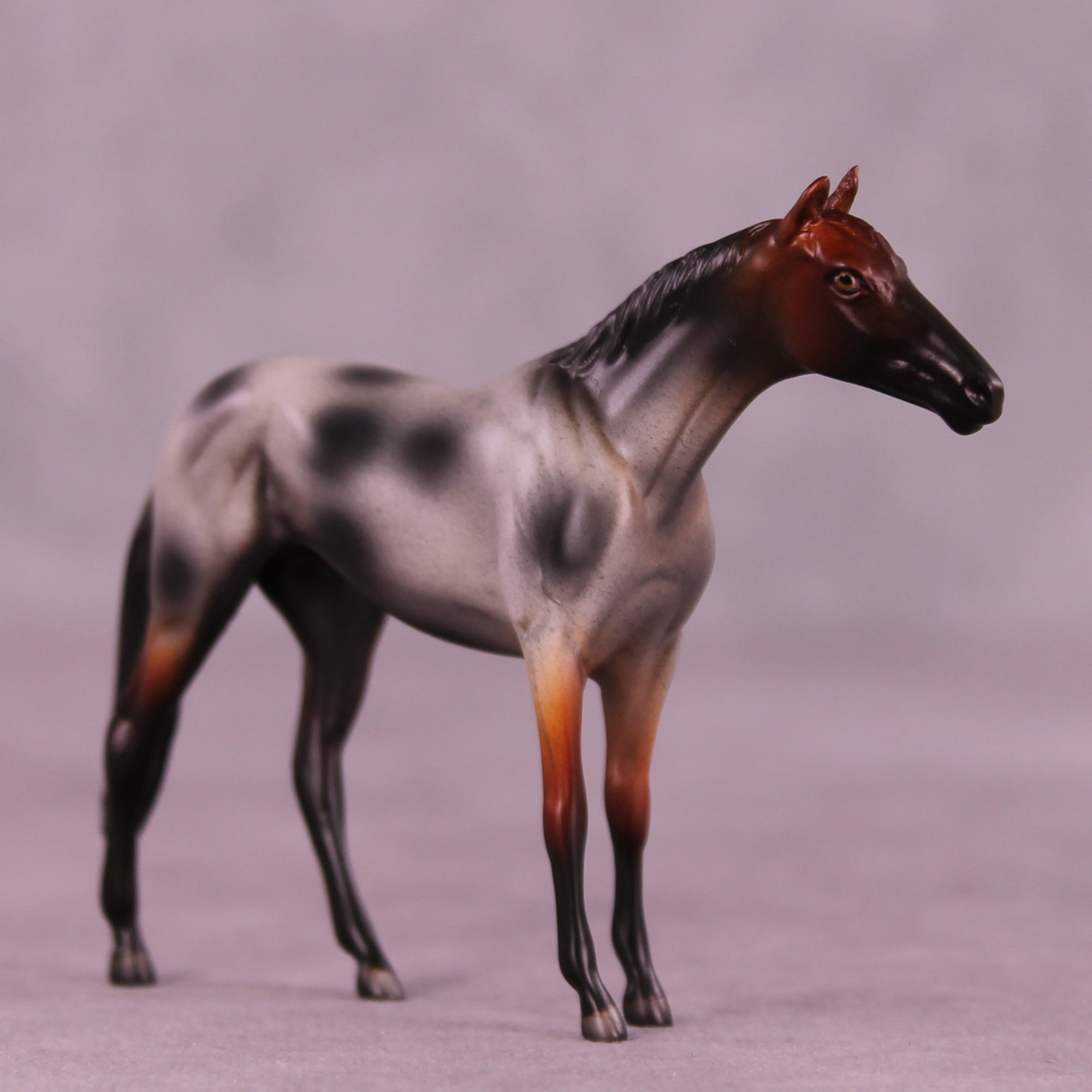 Brown Sugar Boba LE-5 Chip Thoroughbred by Anna Rieck October $99 Chips