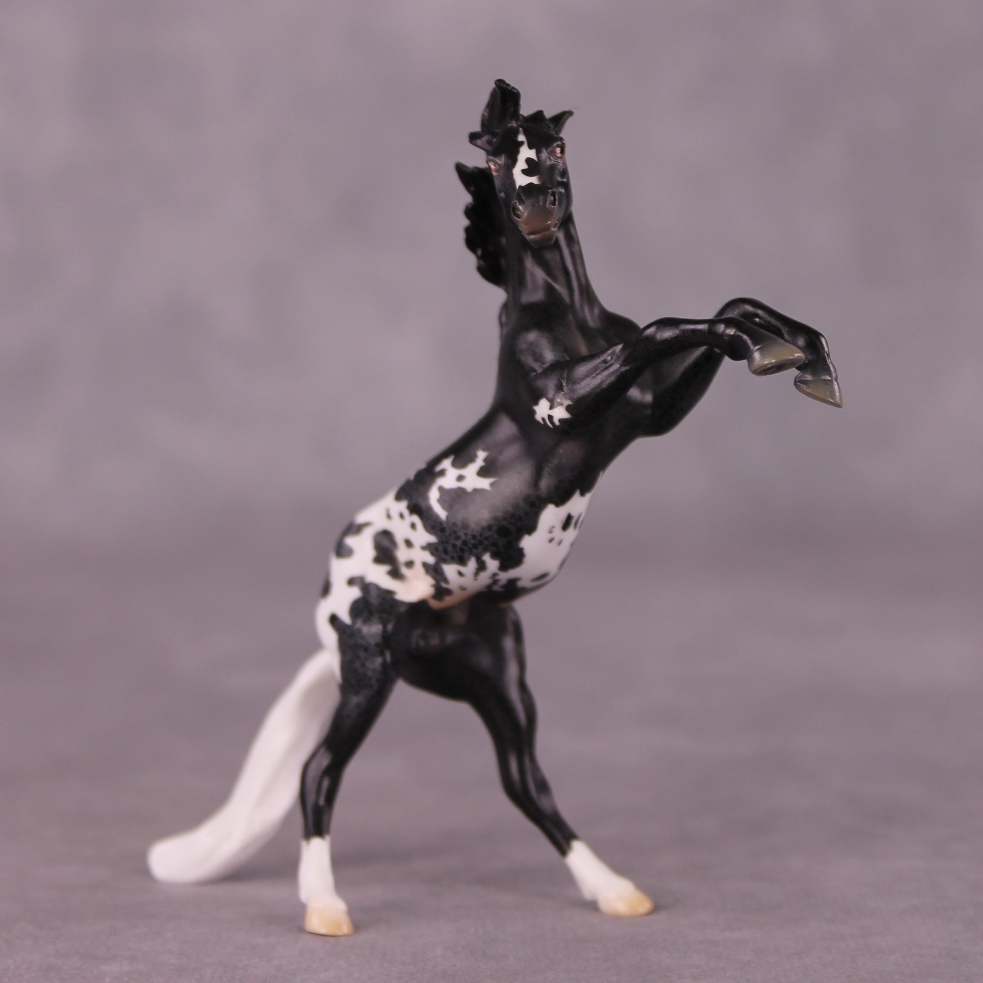 "Rocinante" OOAK Rearing Chip By Jess Hamill - Menagerie Series