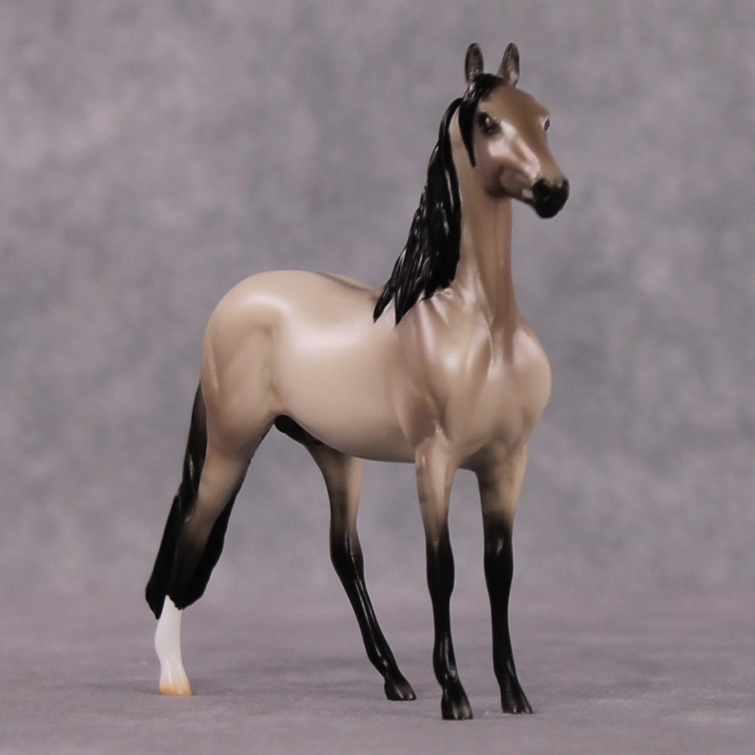"Iambic" OOAK Dappled Grulla Morgan Chip By Ellen Robbins Shakespeare Sonnet 18 & 130 Chips CL25