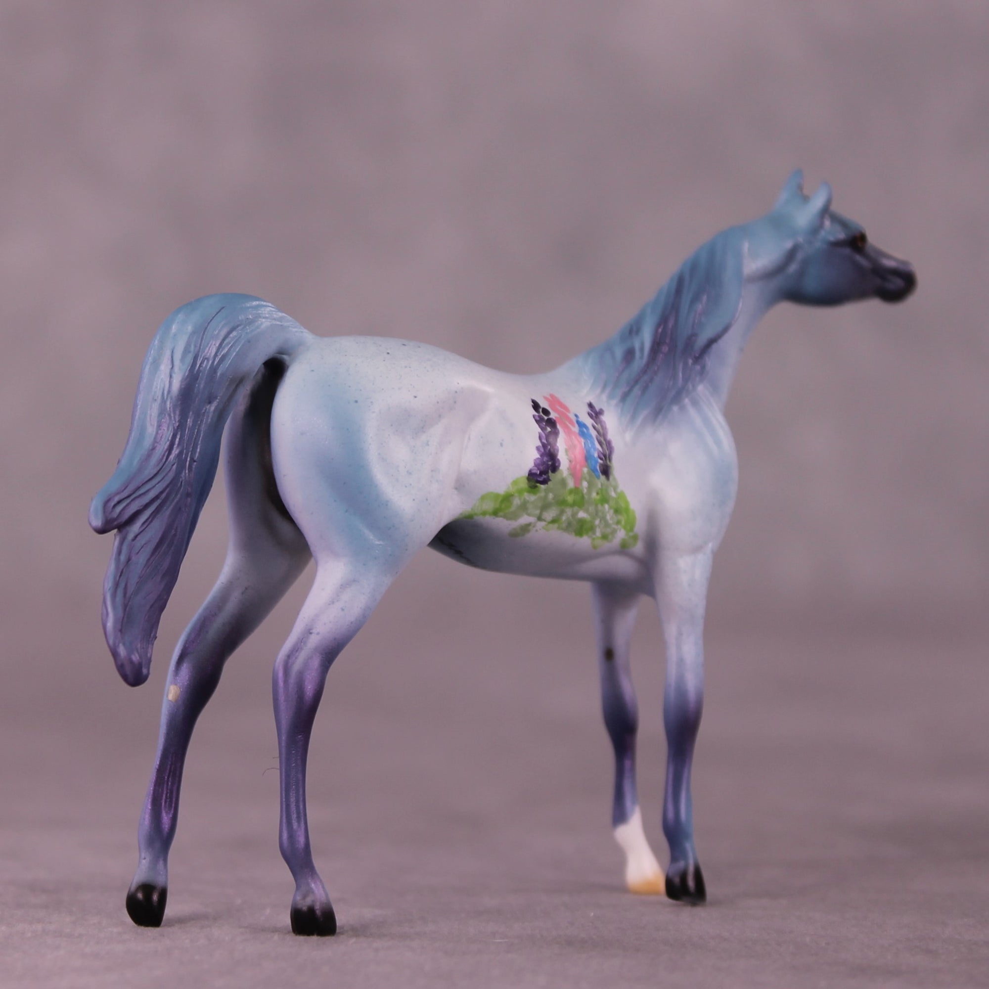 SAMPLE Tiddles Chip Arabian by Dawn Quick 11/25/2025 SS1125