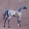 Tiddles or Min LE-12 Arabian Chip By Dawn Quick FS25